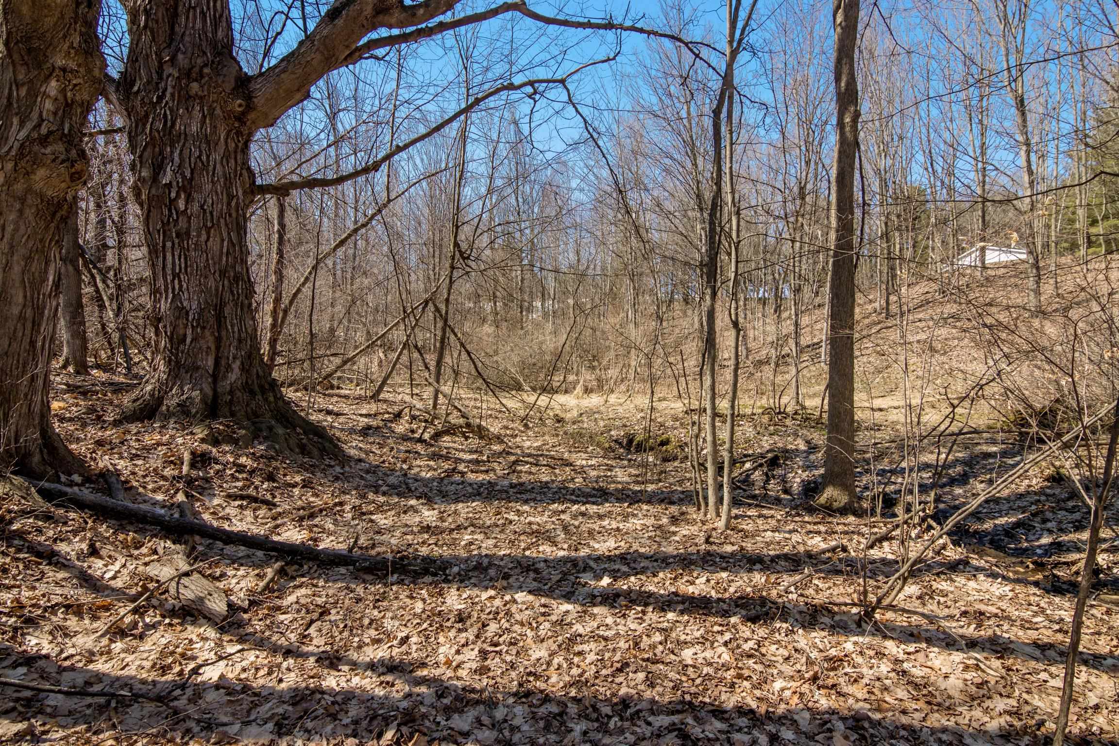 11153 Center Road, Traverse City, MI, 49686