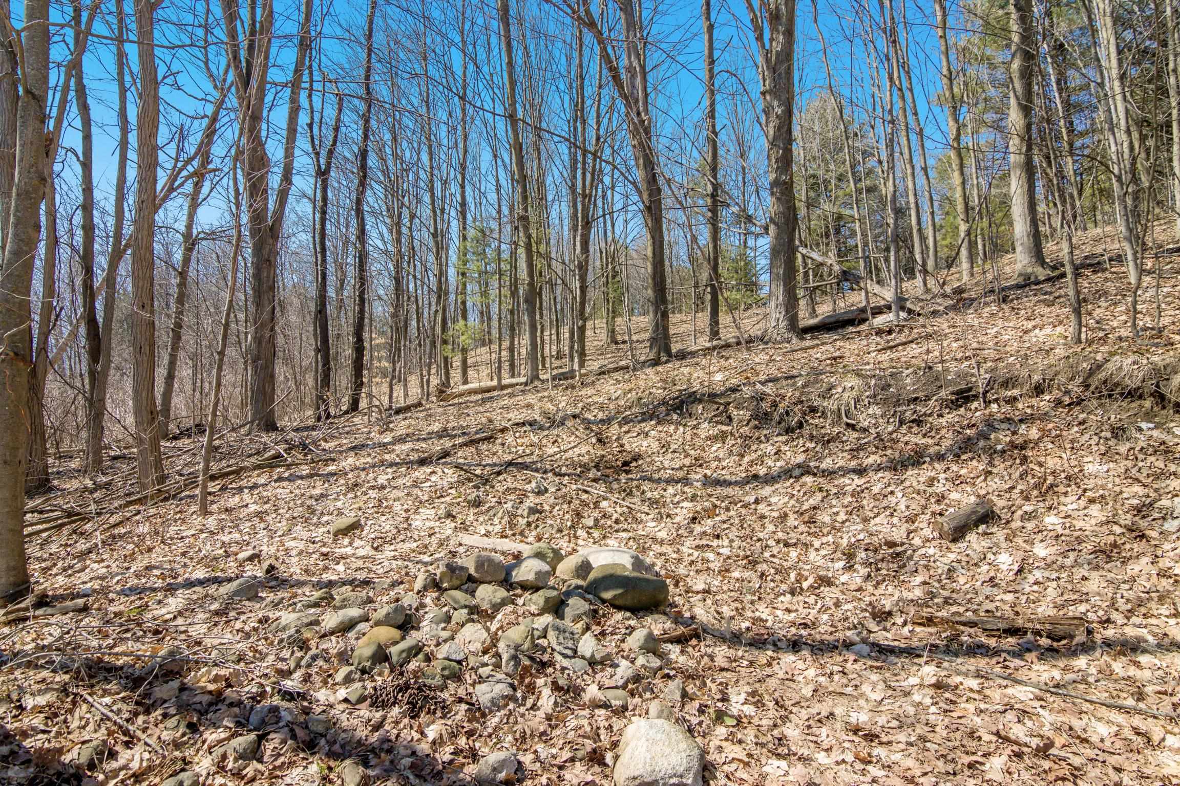 11153 Center Road, Traverse City, MI, 49686