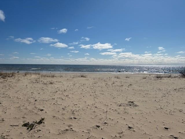 Picture 7
