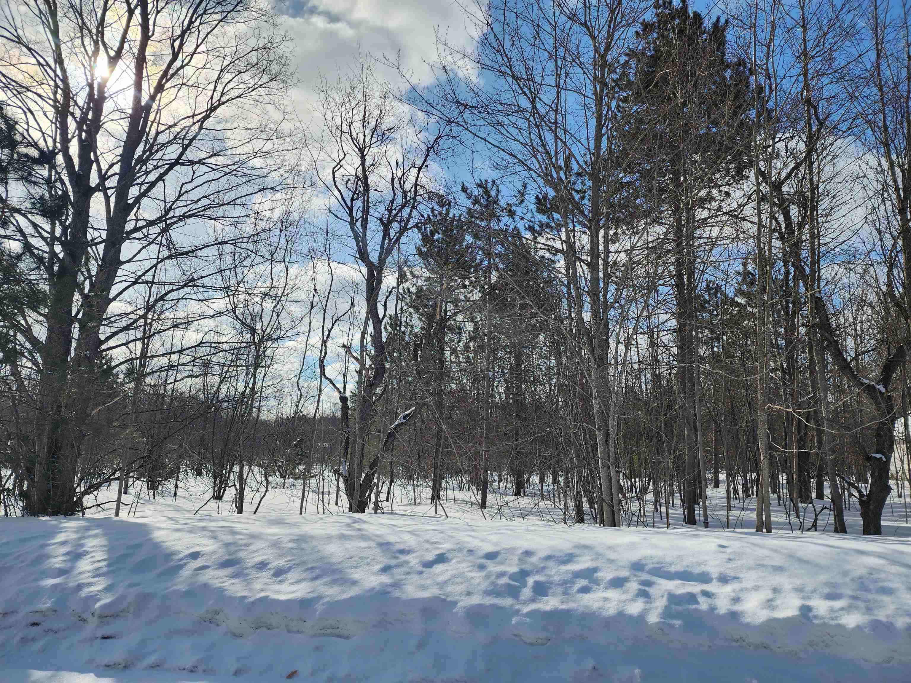V/L Belmont Drive, Mancelona, MI, 49659