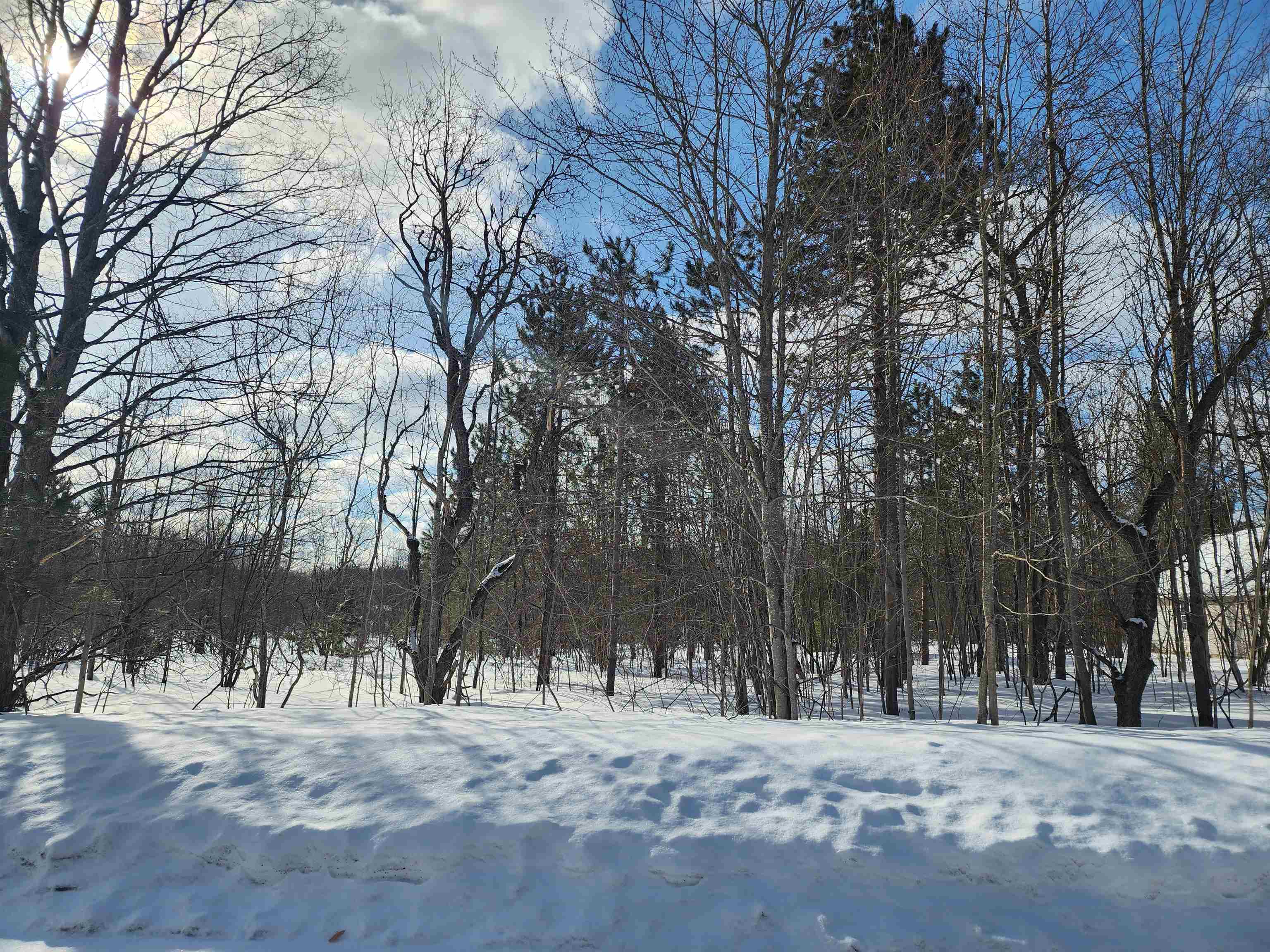 V/L Belmont Drive, Mancelona, MI, 49659