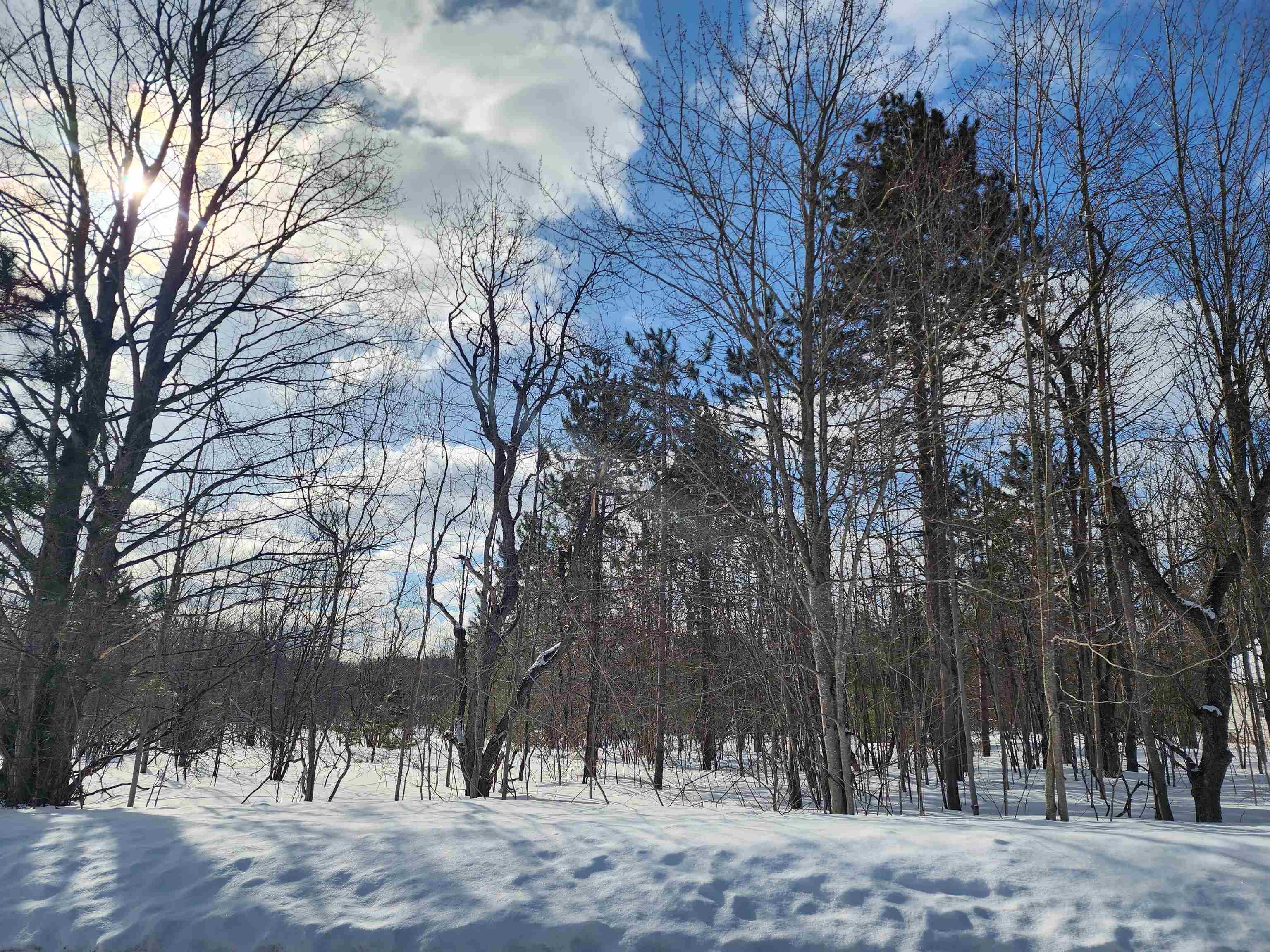 V/L Belmont Drive, Mancelona, MI, 49659
