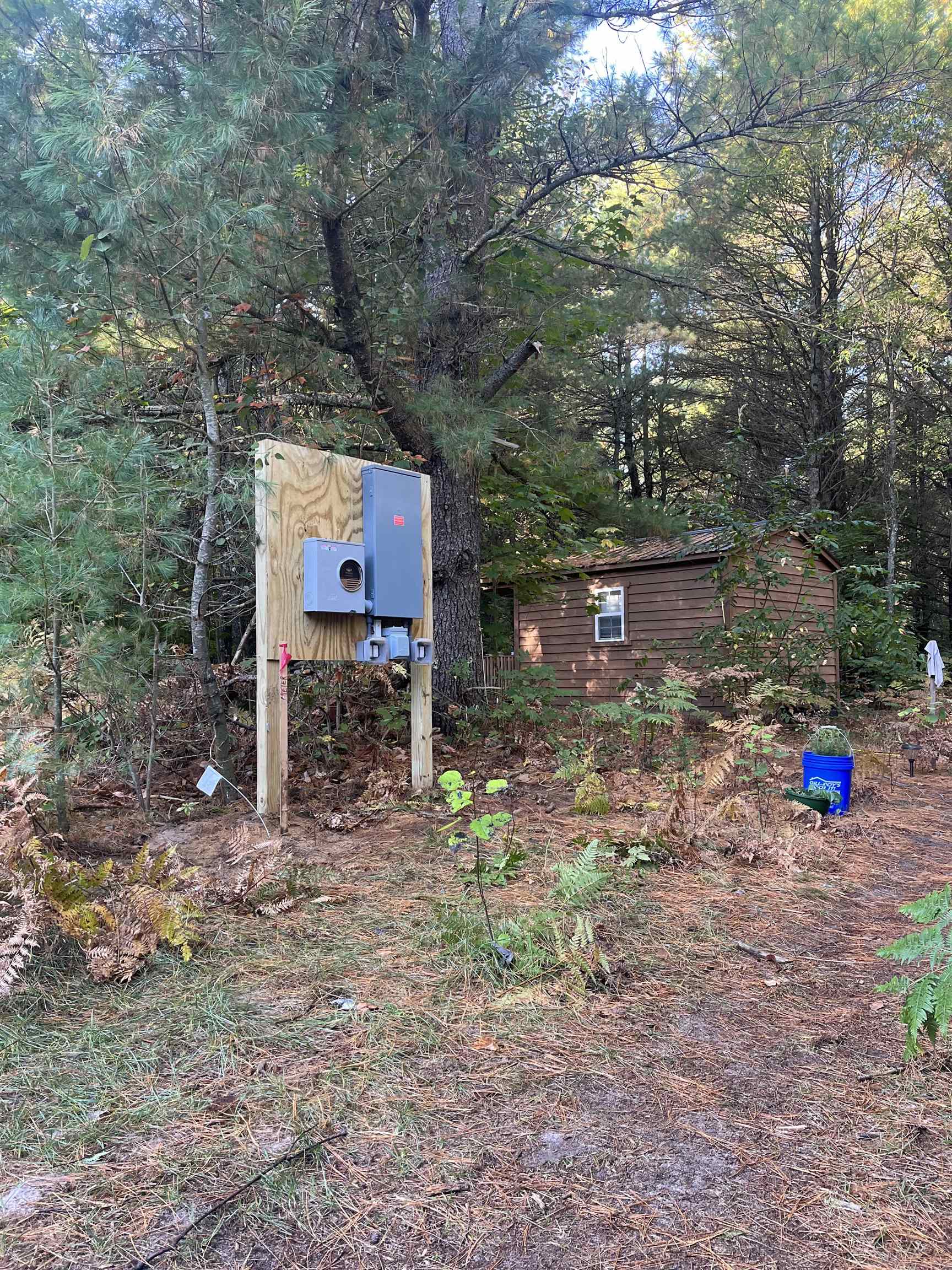 Picture 4
