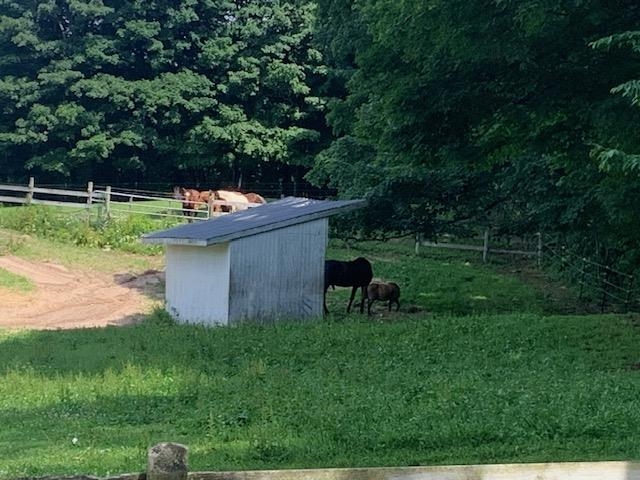 Shumaker Road, Bellaire, MI, 49615