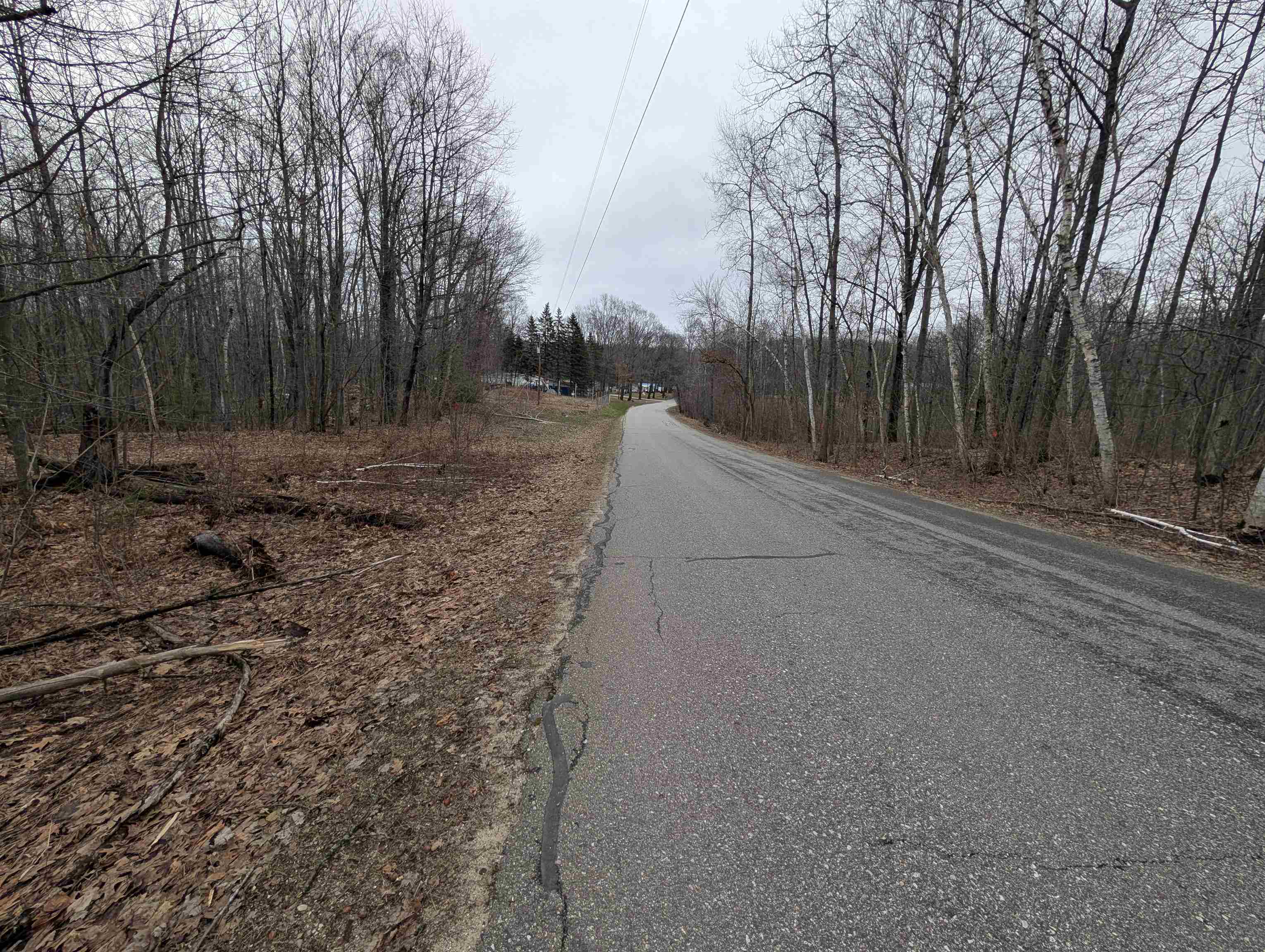 VL East Chippewa Drive, Evart, MI, 49631