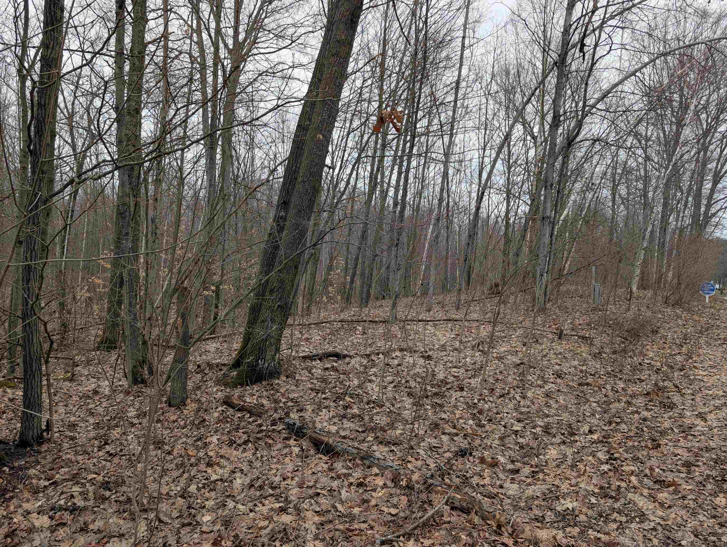 VL East Chippewa Drive, Evart, MI, 49631