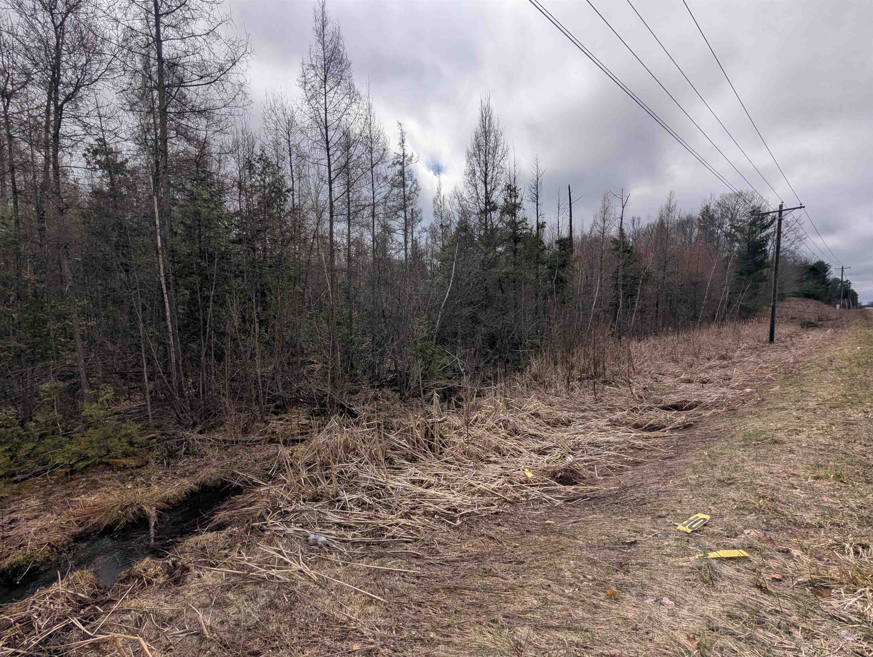 VL East Chippewa Drive, Evart, MI, 49631