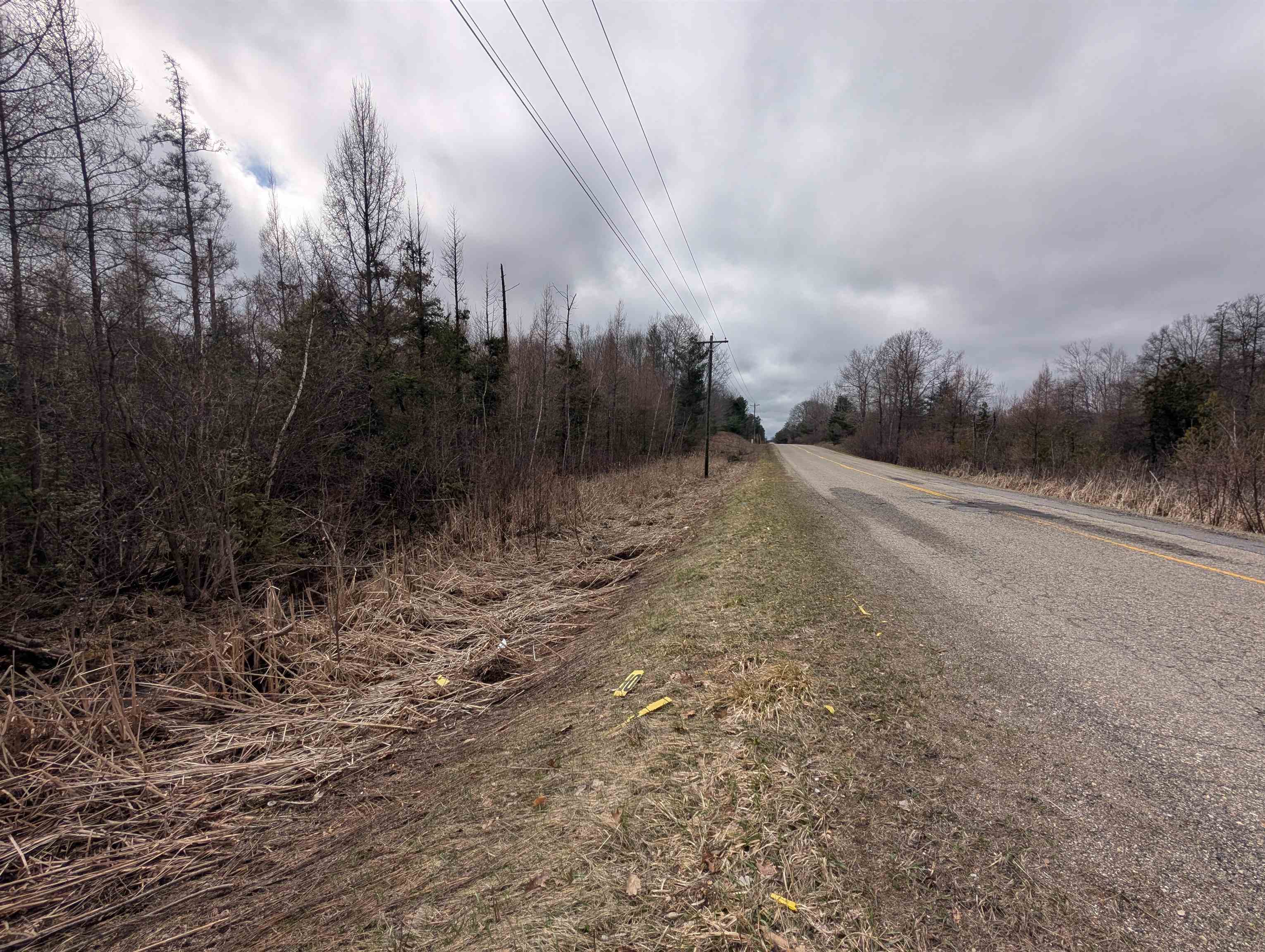 VL East Chippewa Drive, Evart, MI, 49631