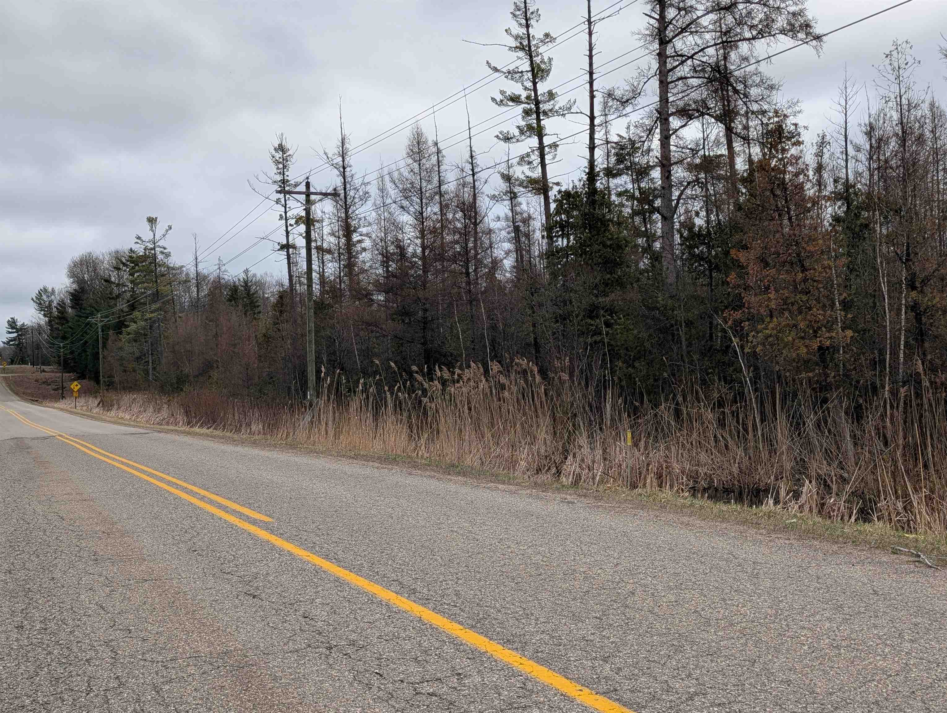 VL East Chippewa Drive, Evart, MI, 49631