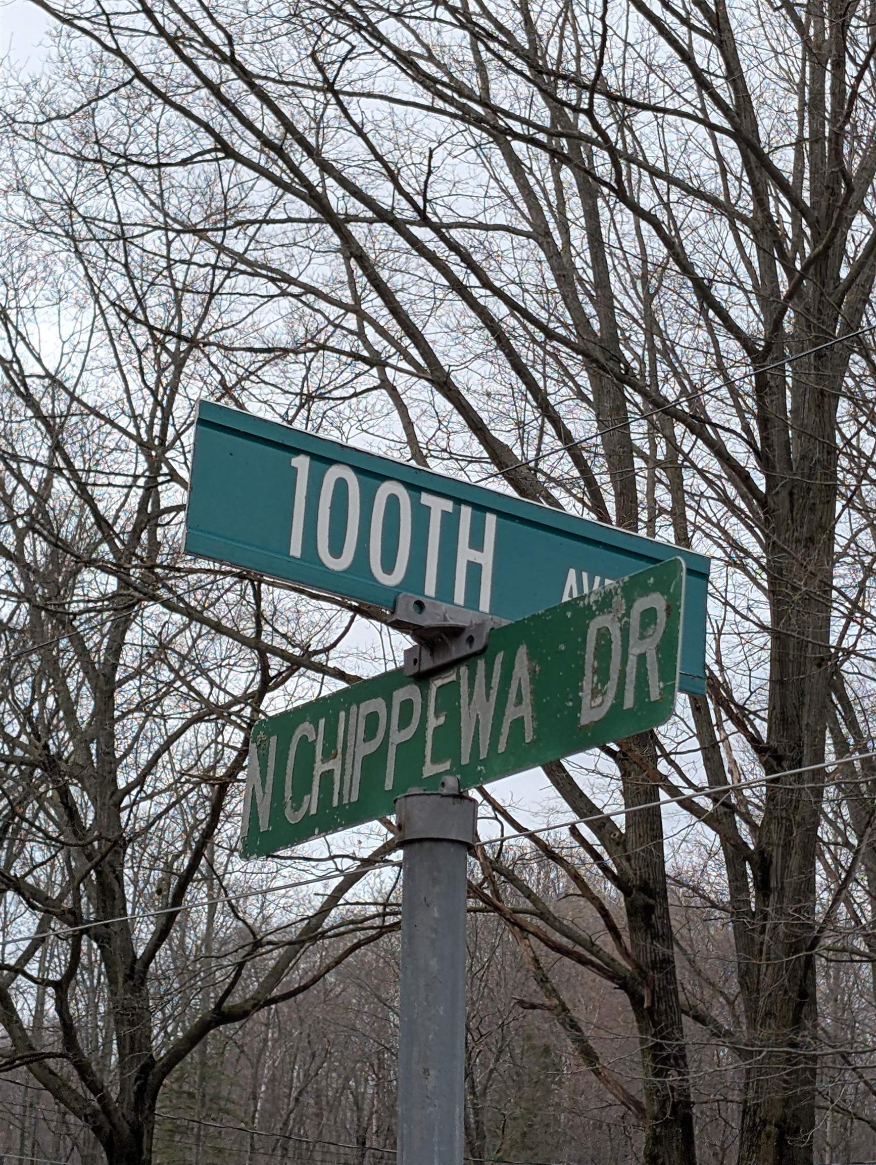 VL East Chippewa Drive, Evart, MI, 49631