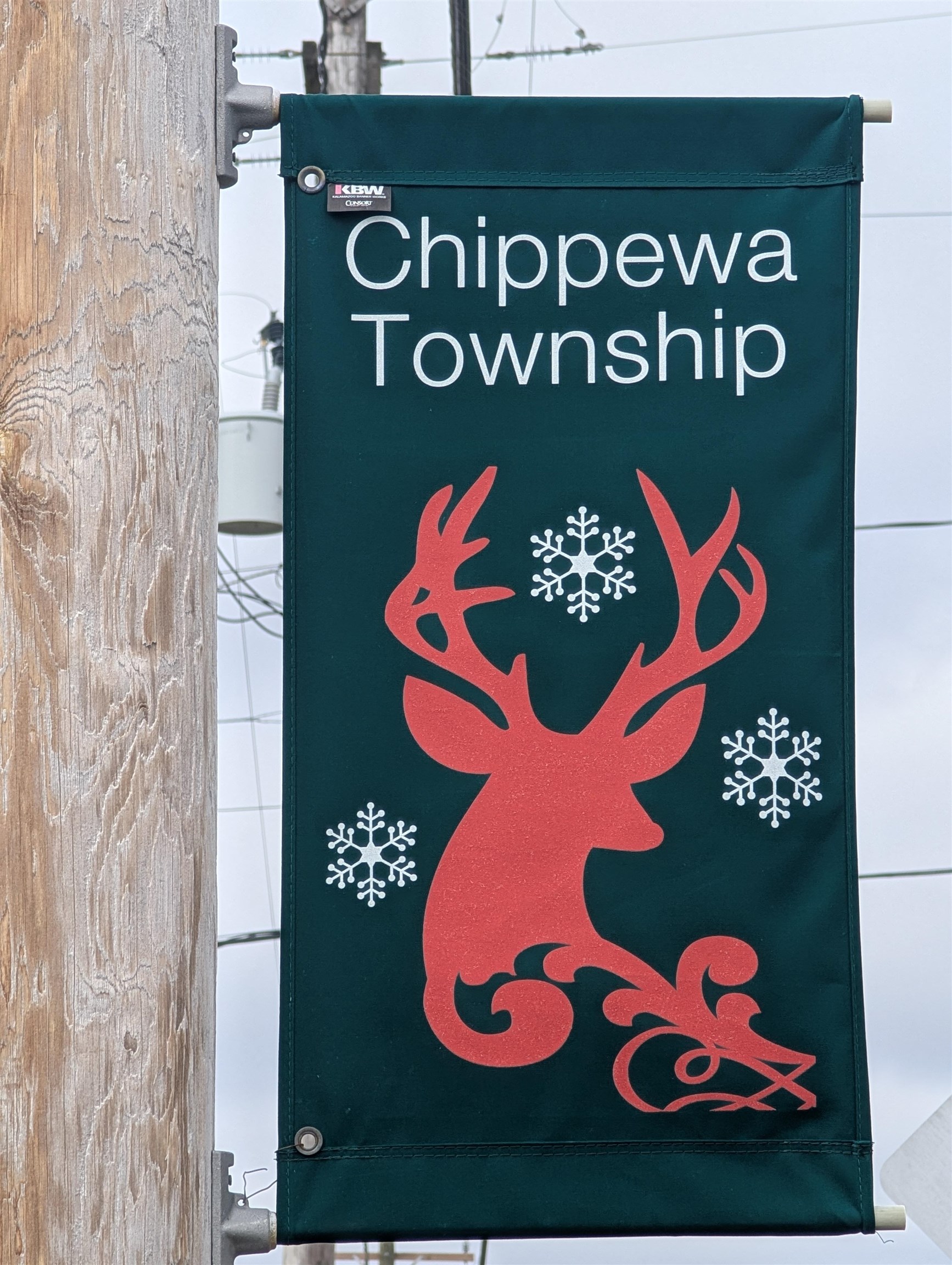 VL East Chippewa Drive, Evart, MI, 49631