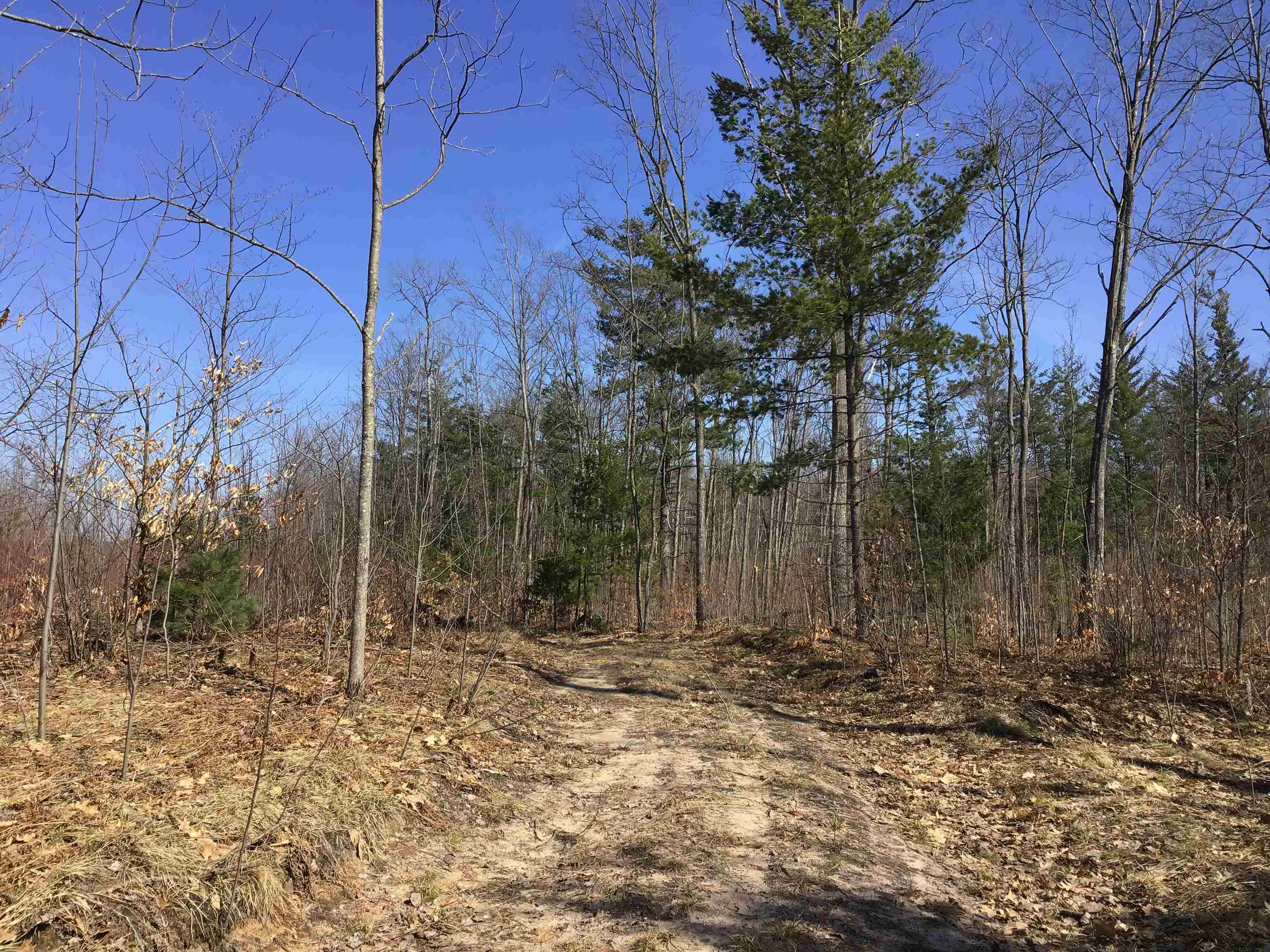 80 VL Mackinaw Trail, Cadillac, MI, 49601