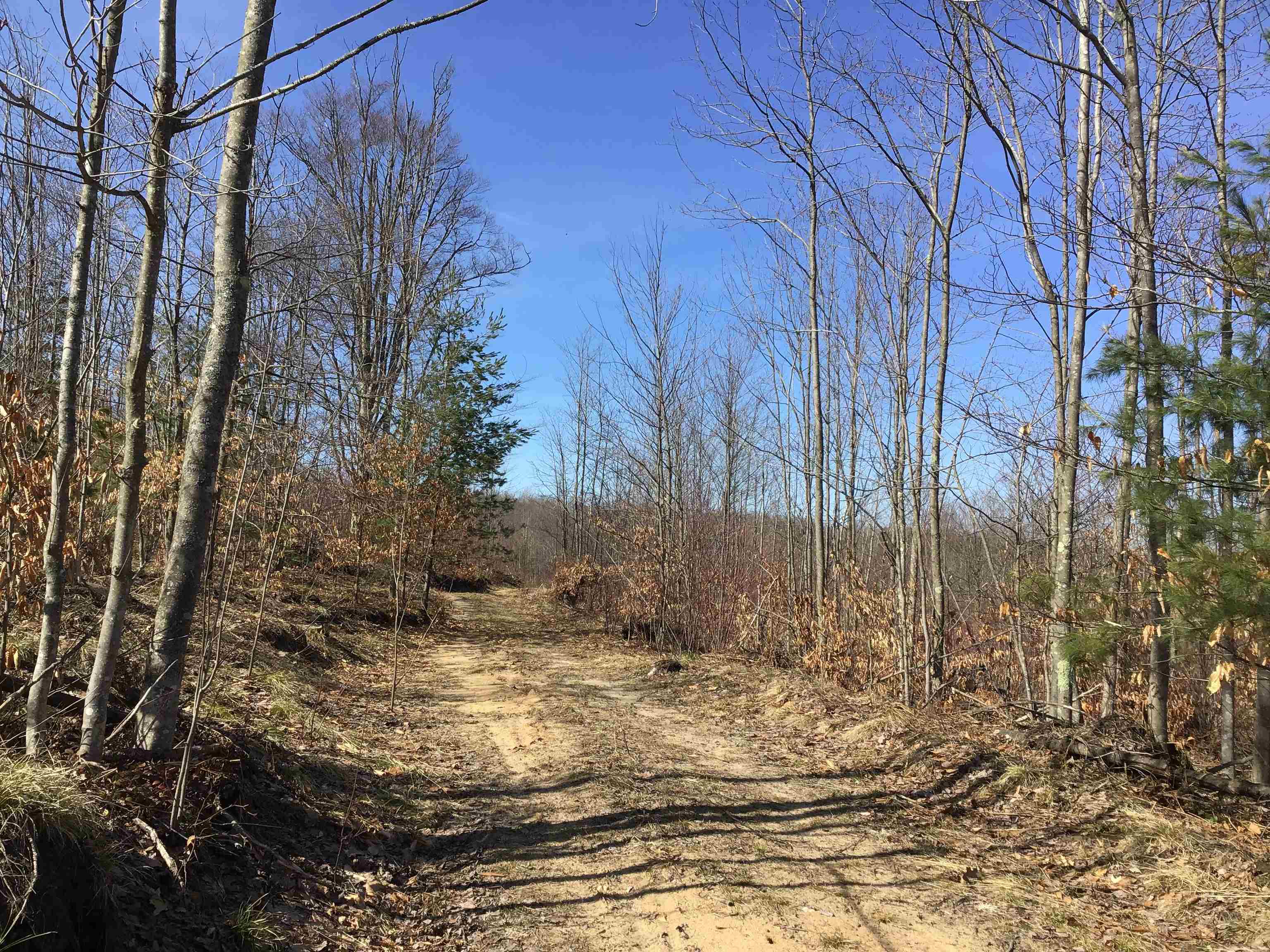 80 VL Mackinaw Trail, Cadillac, MI, 49601