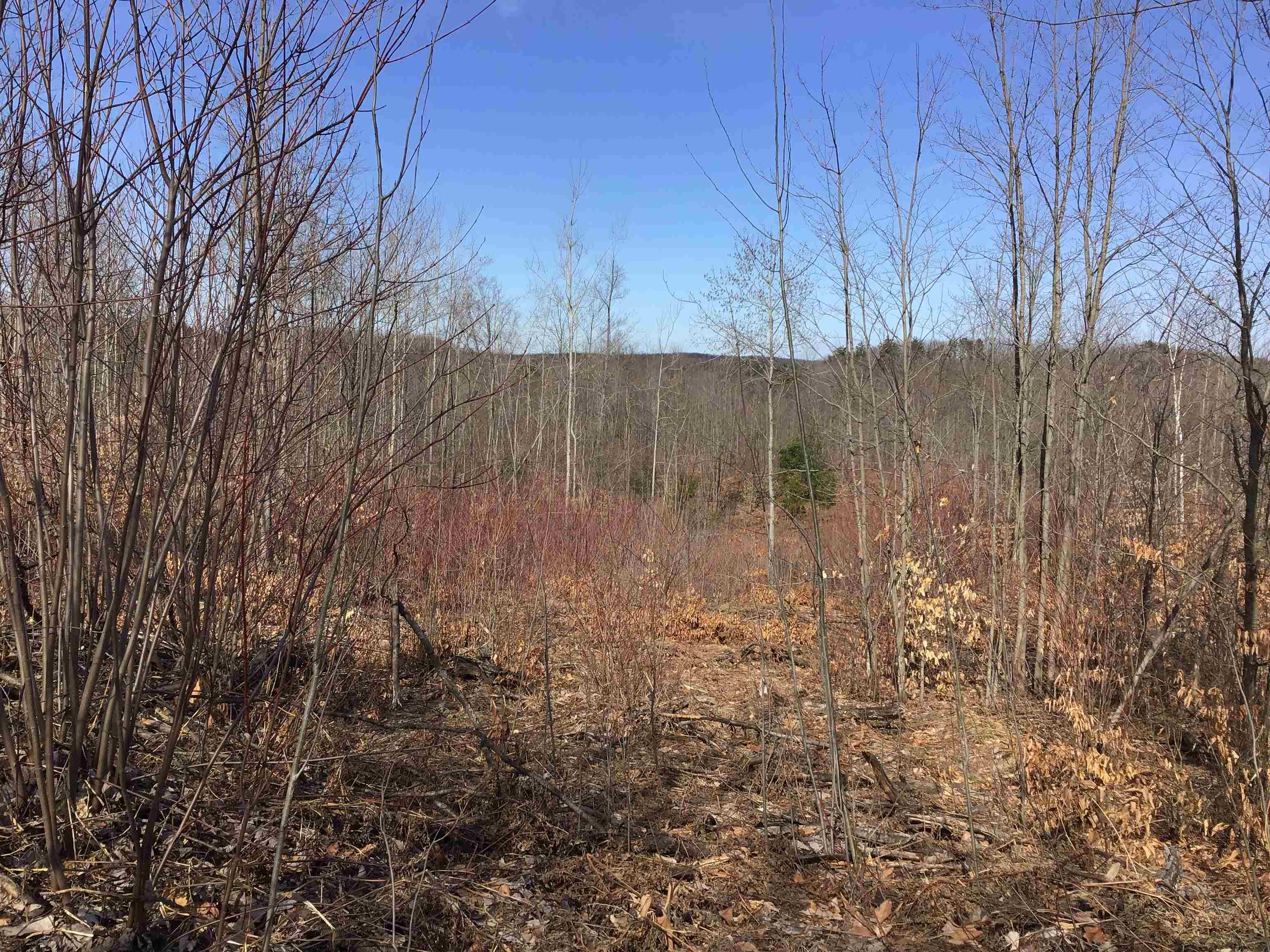 80 VL Mackinaw Trail, Cadillac, MI, 49601