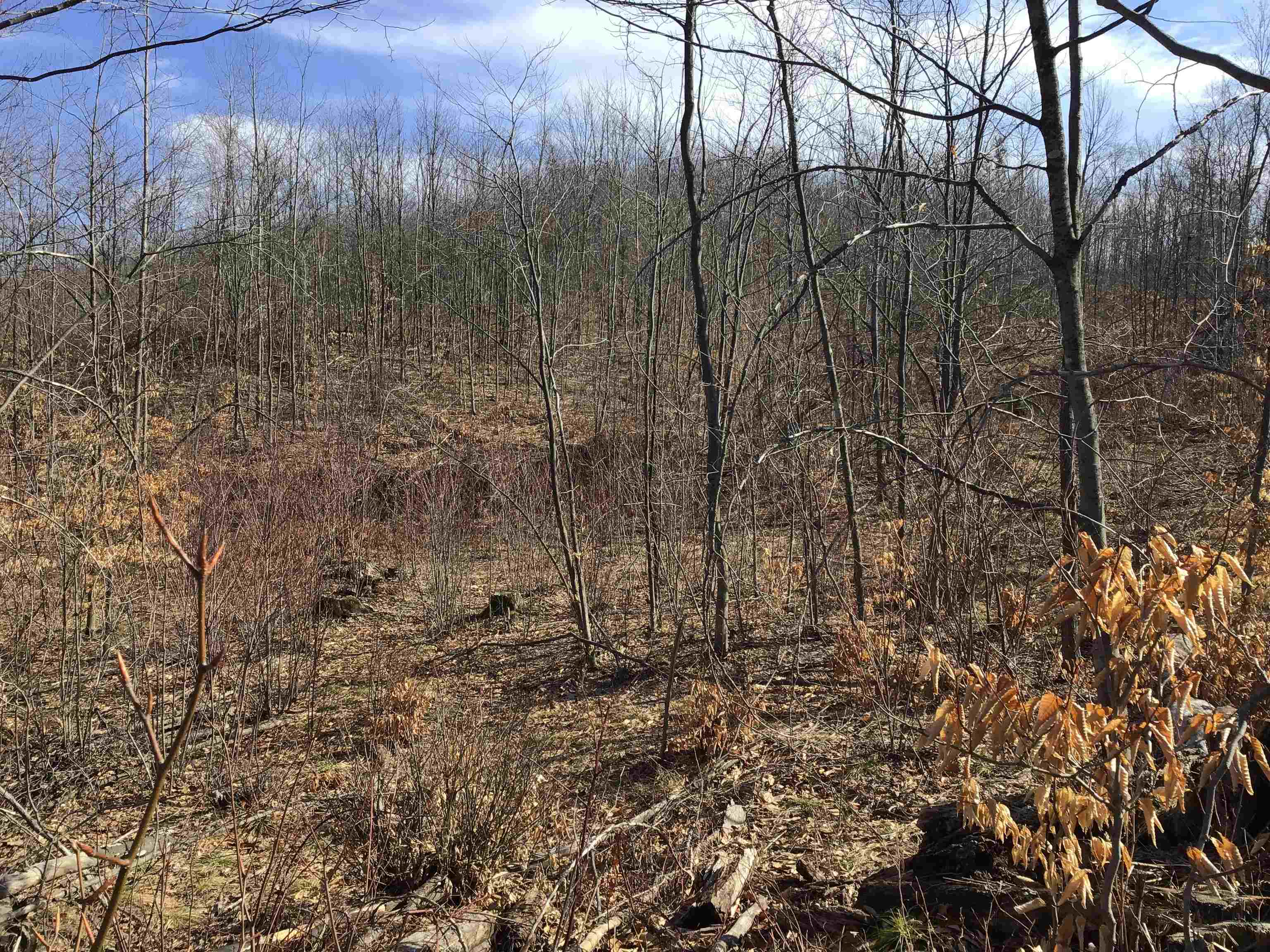 80 VL Mackinaw Trail, Cadillac, MI, 49601