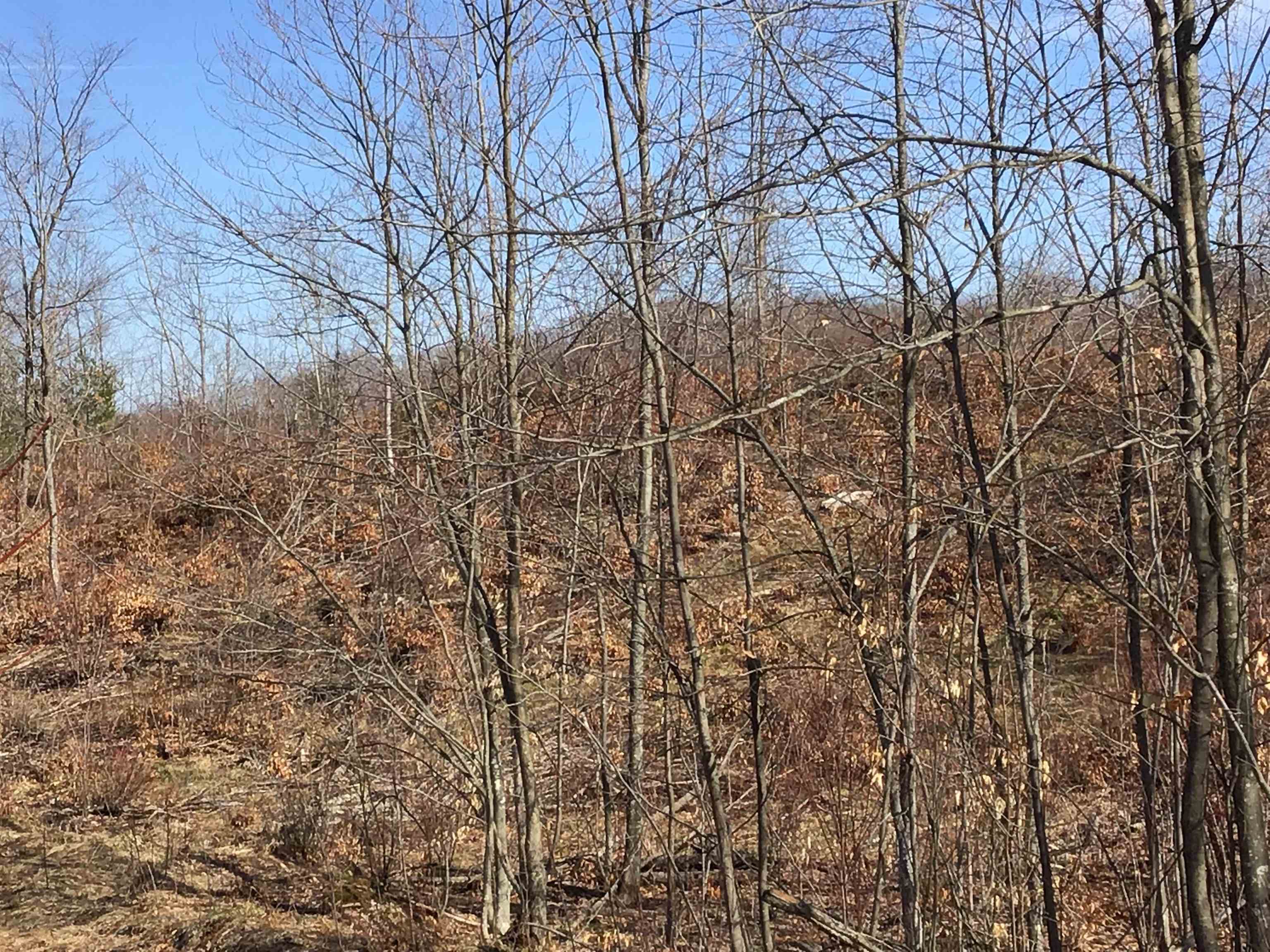 80 VL Mackinaw Trail, Cadillac, MI, 49601