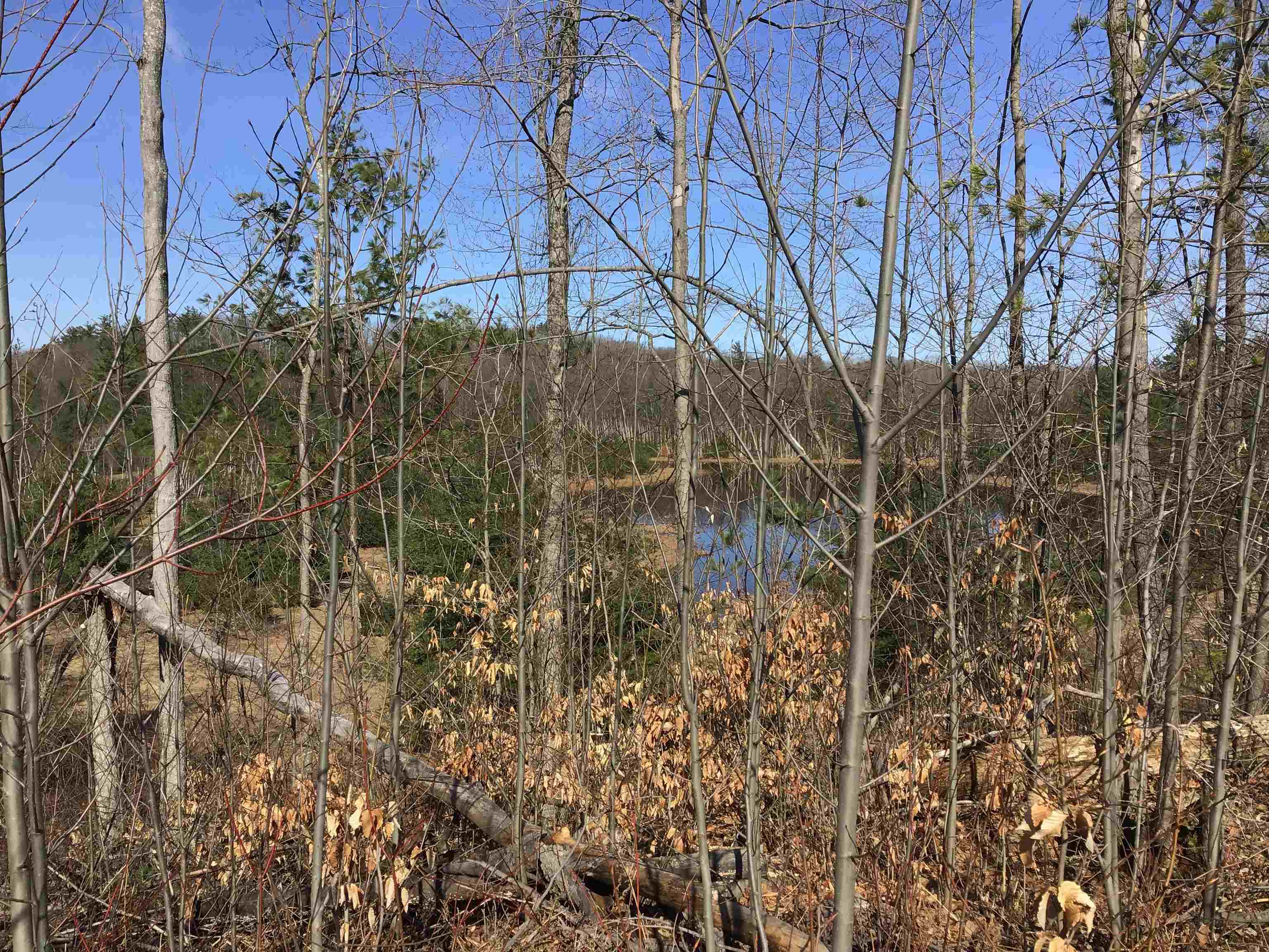 80 VL Mackinaw Trail, Cadillac, MI, 49601