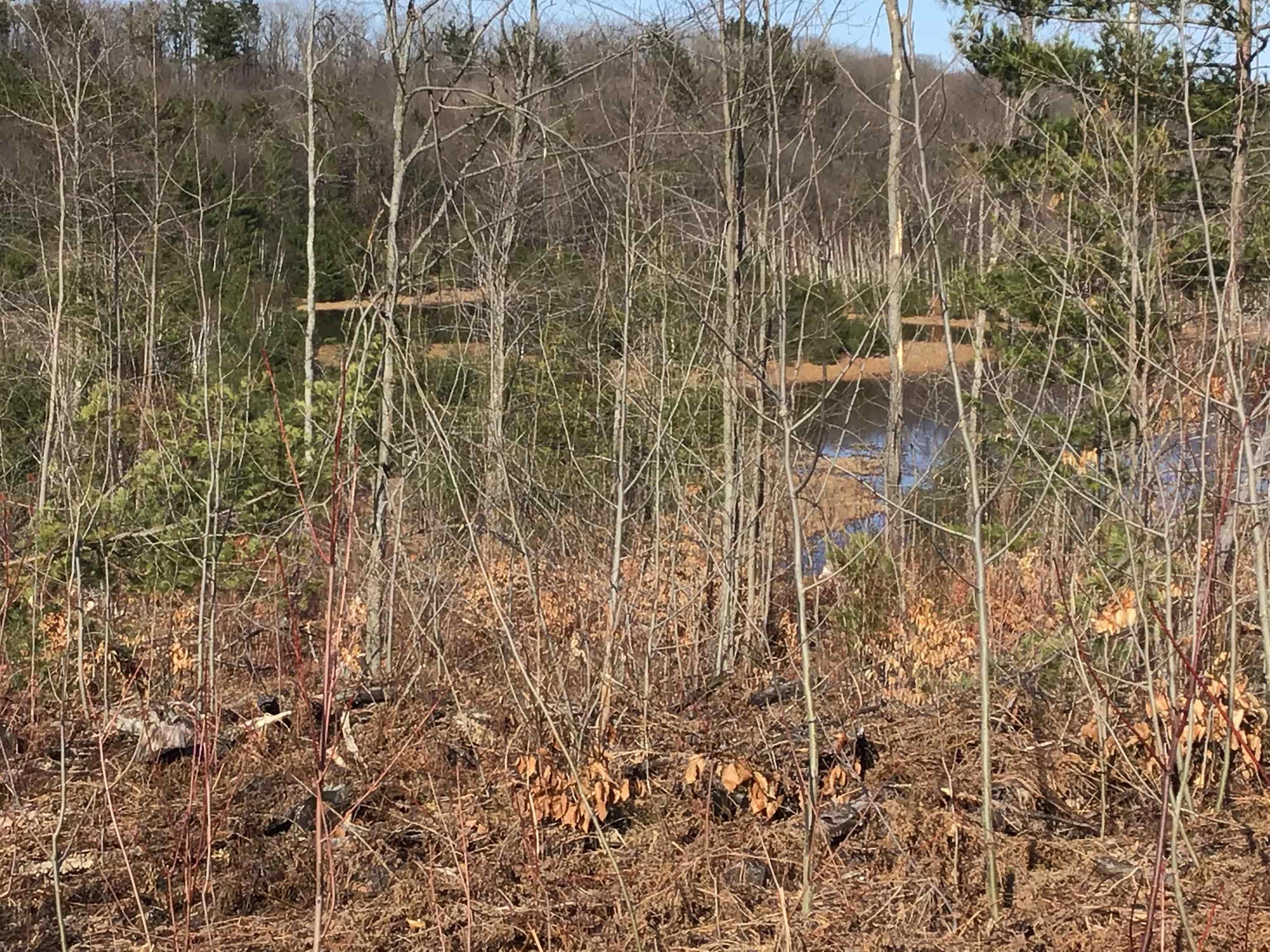 80 VL Mackinaw Trail, Cadillac, MI, 49601