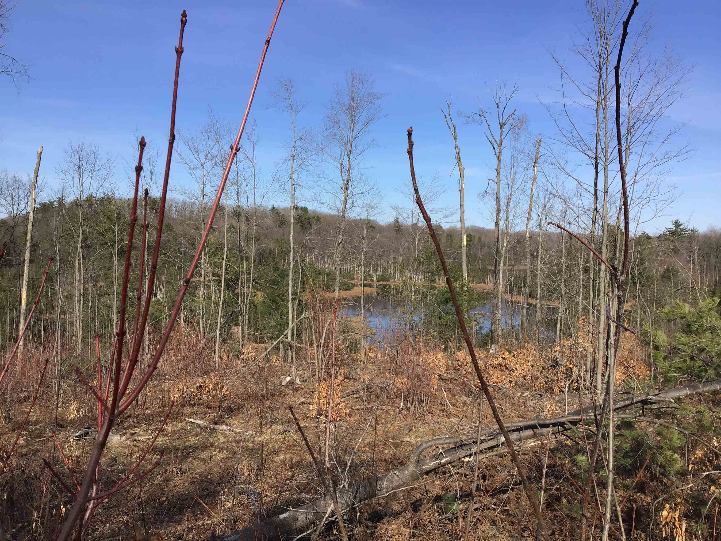 80 VL Mackinaw Trail, Cadillac, MI, 49601