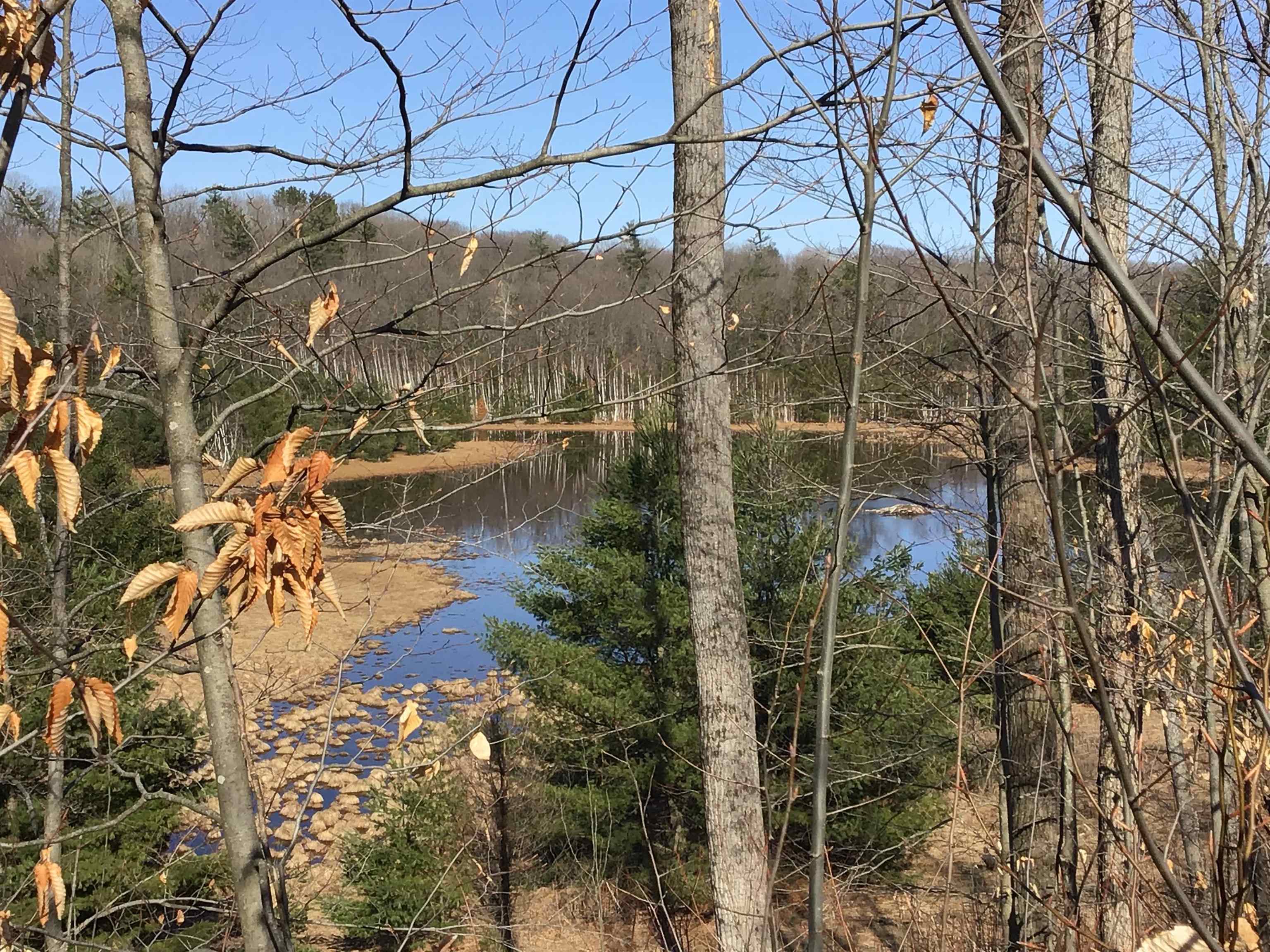 80 VL Mackinaw Trail, Cadillac, MI, 49601