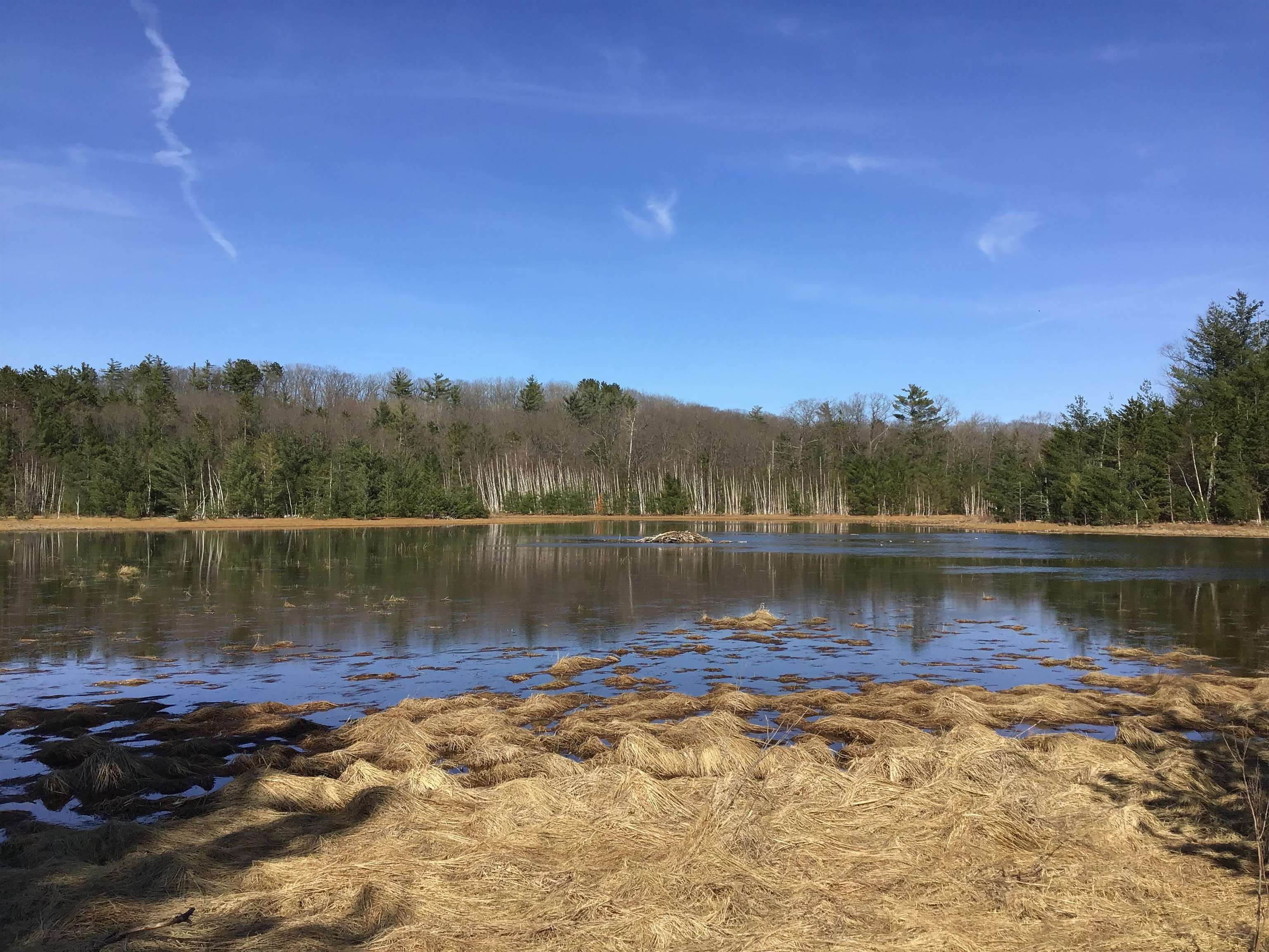 80 VL Mackinaw Trail, Cadillac, MI, 49601