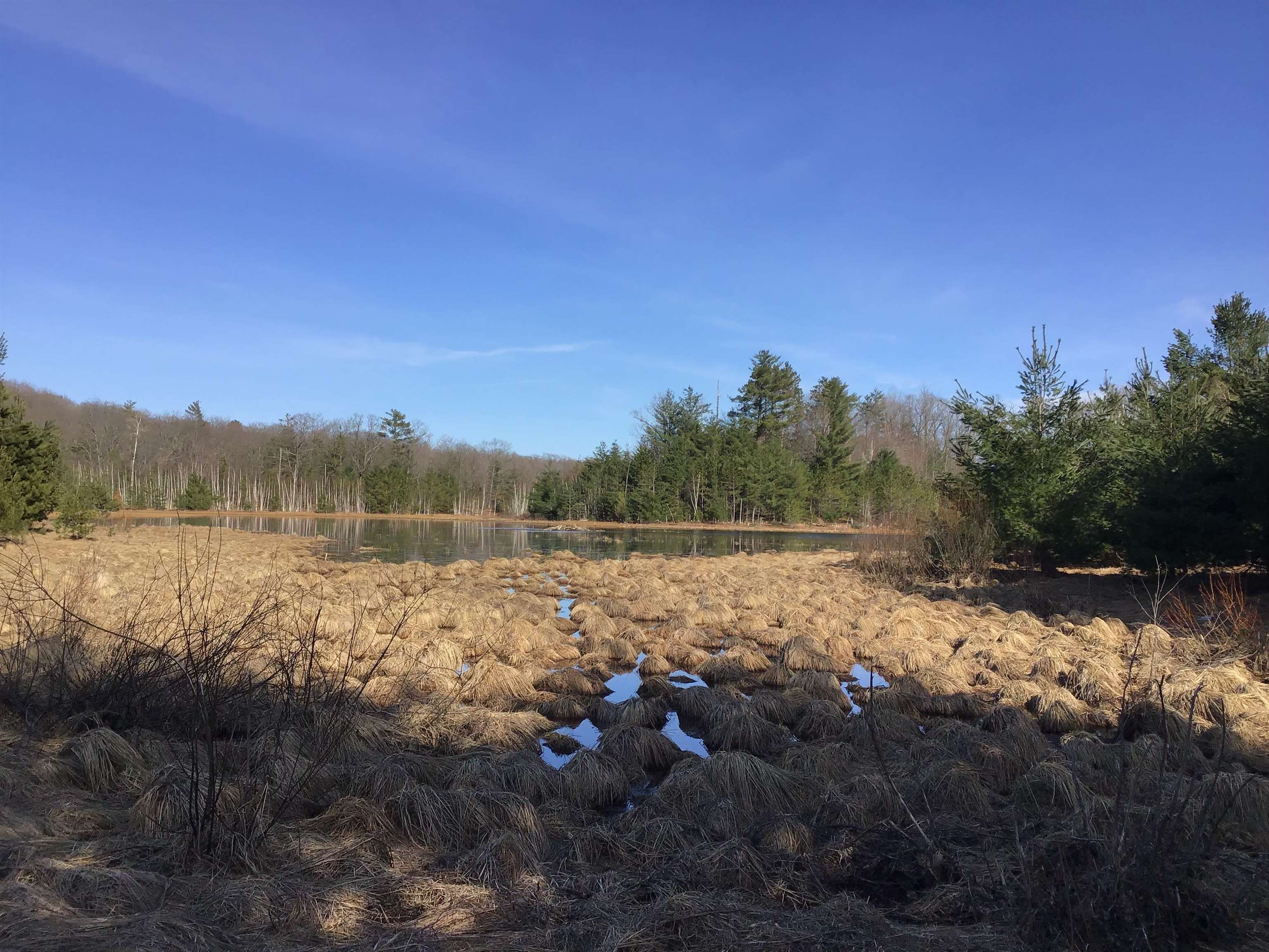 80 VL Mackinaw Trail, Cadillac, MI, 49601