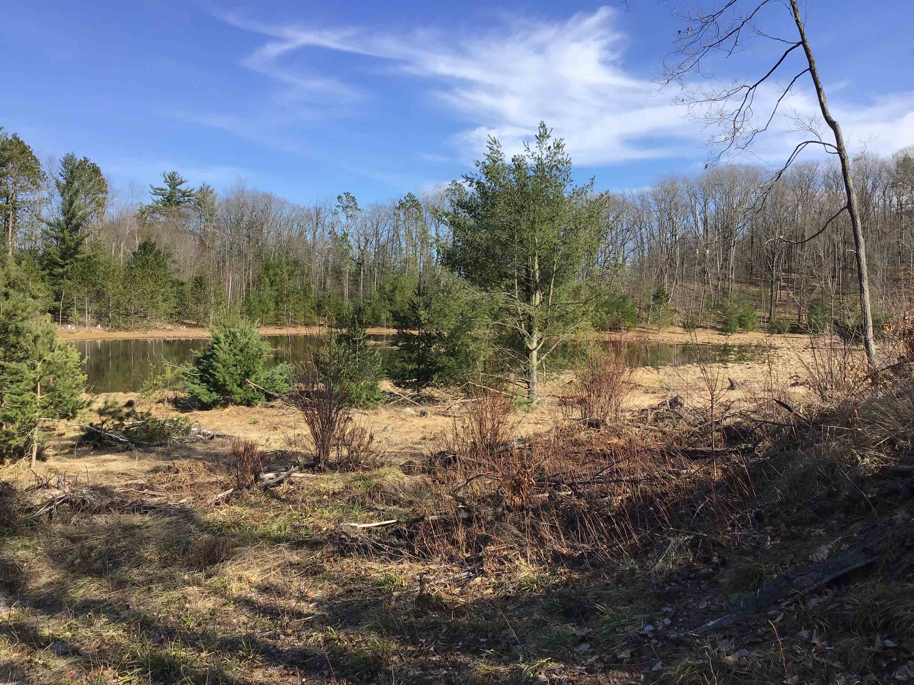 80 VL Mackinaw Trail, Cadillac, MI, 49601