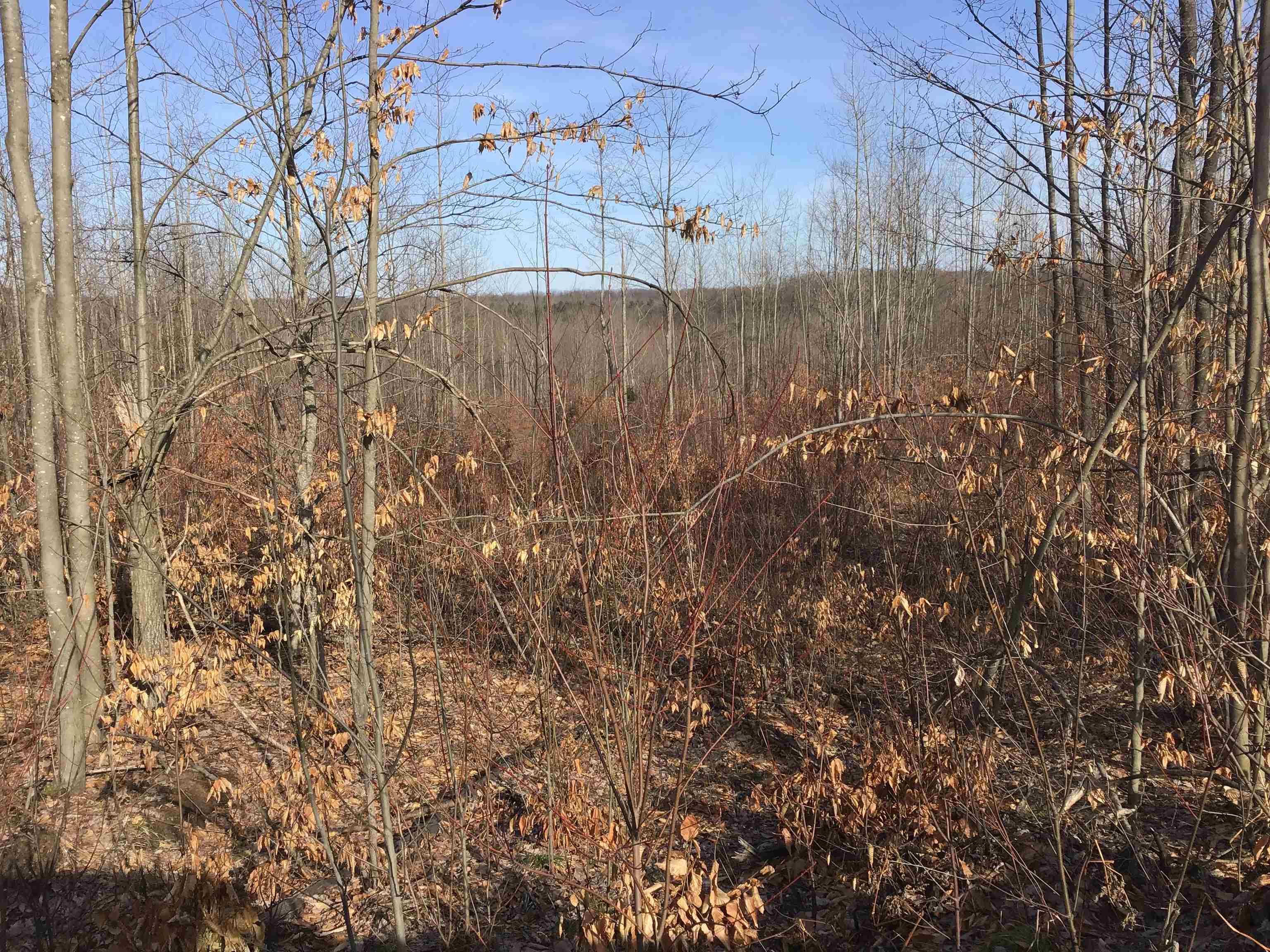 80 VL Mackinaw Trail, Cadillac, MI, 49601