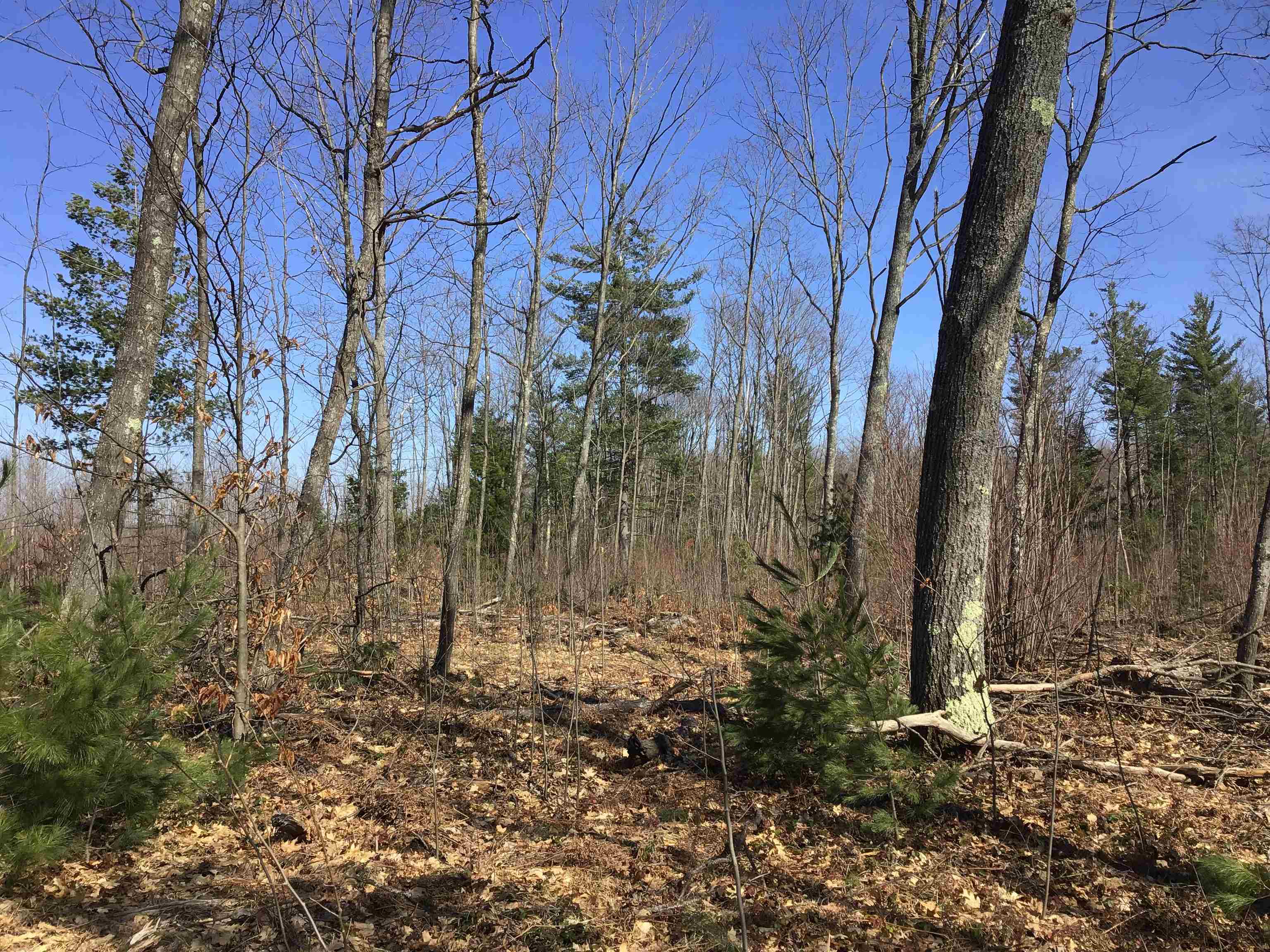 80 VL Mackinaw Trail, Cadillac, MI, 49601