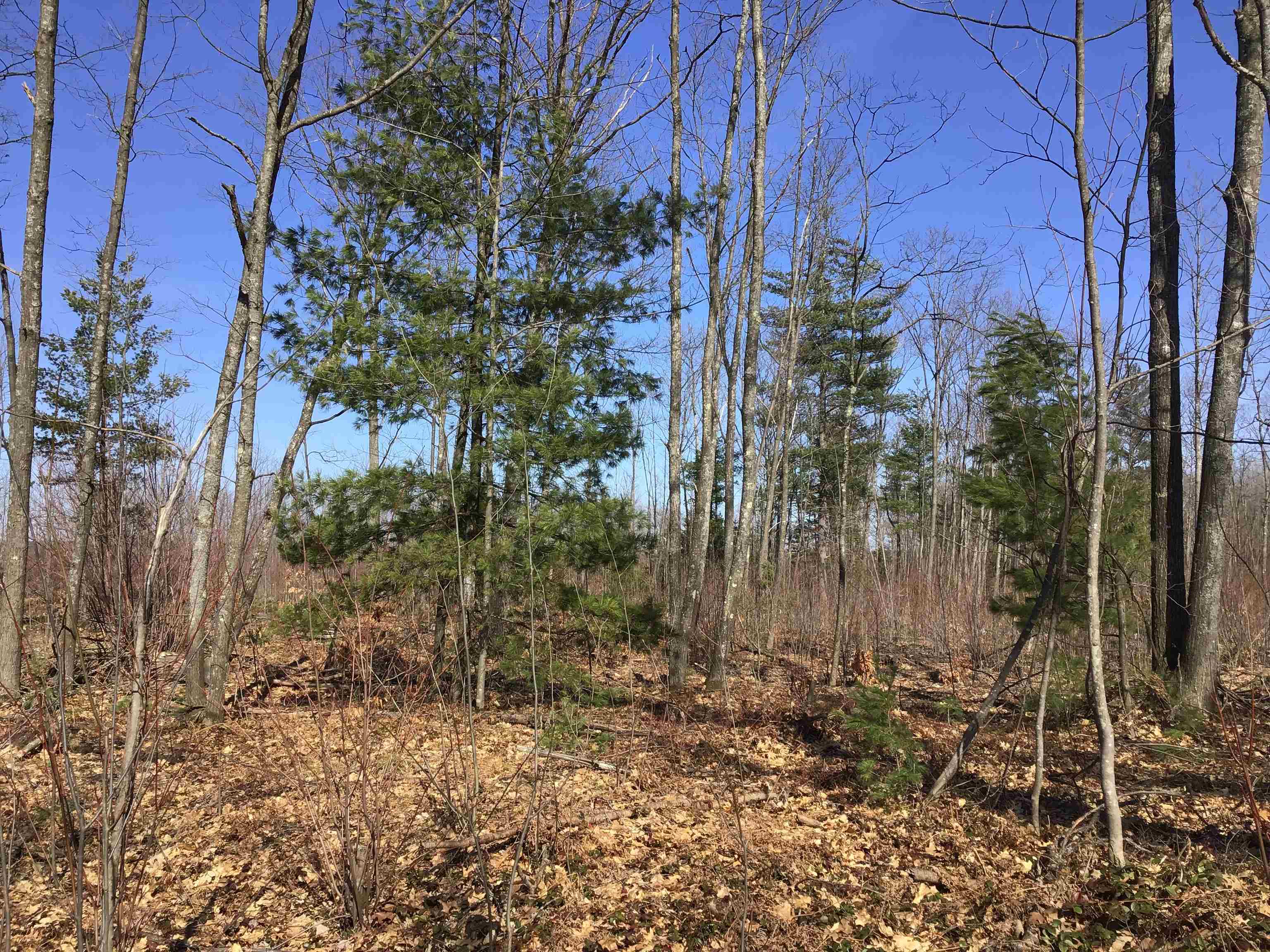 80 VL Mackinaw Trail, Cadillac, MI, 49601