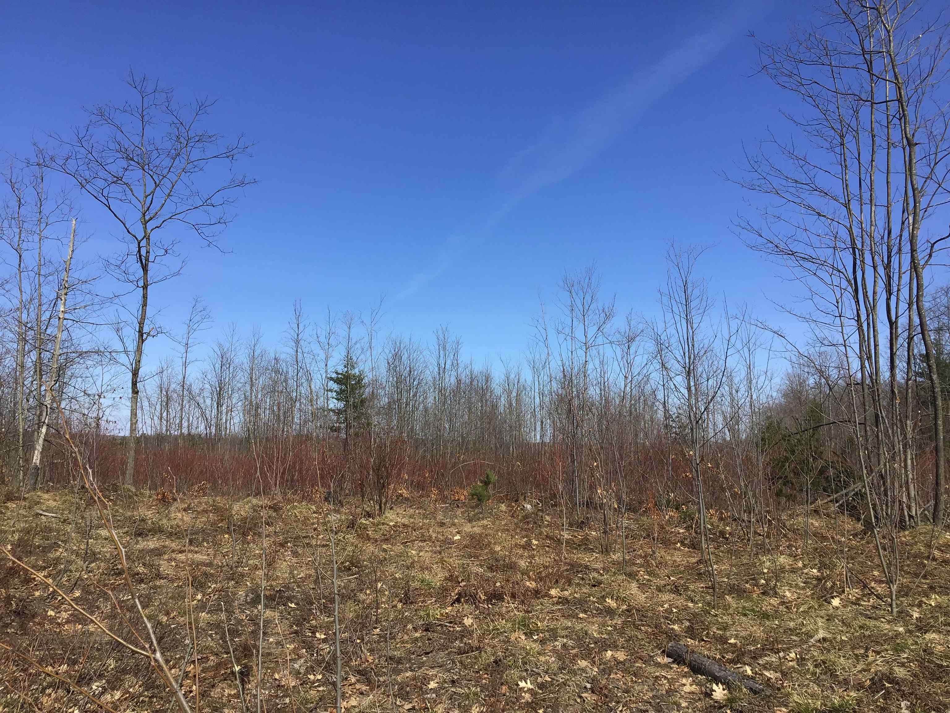 80 VL Mackinaw Trail, Cadillac, MI, 49601