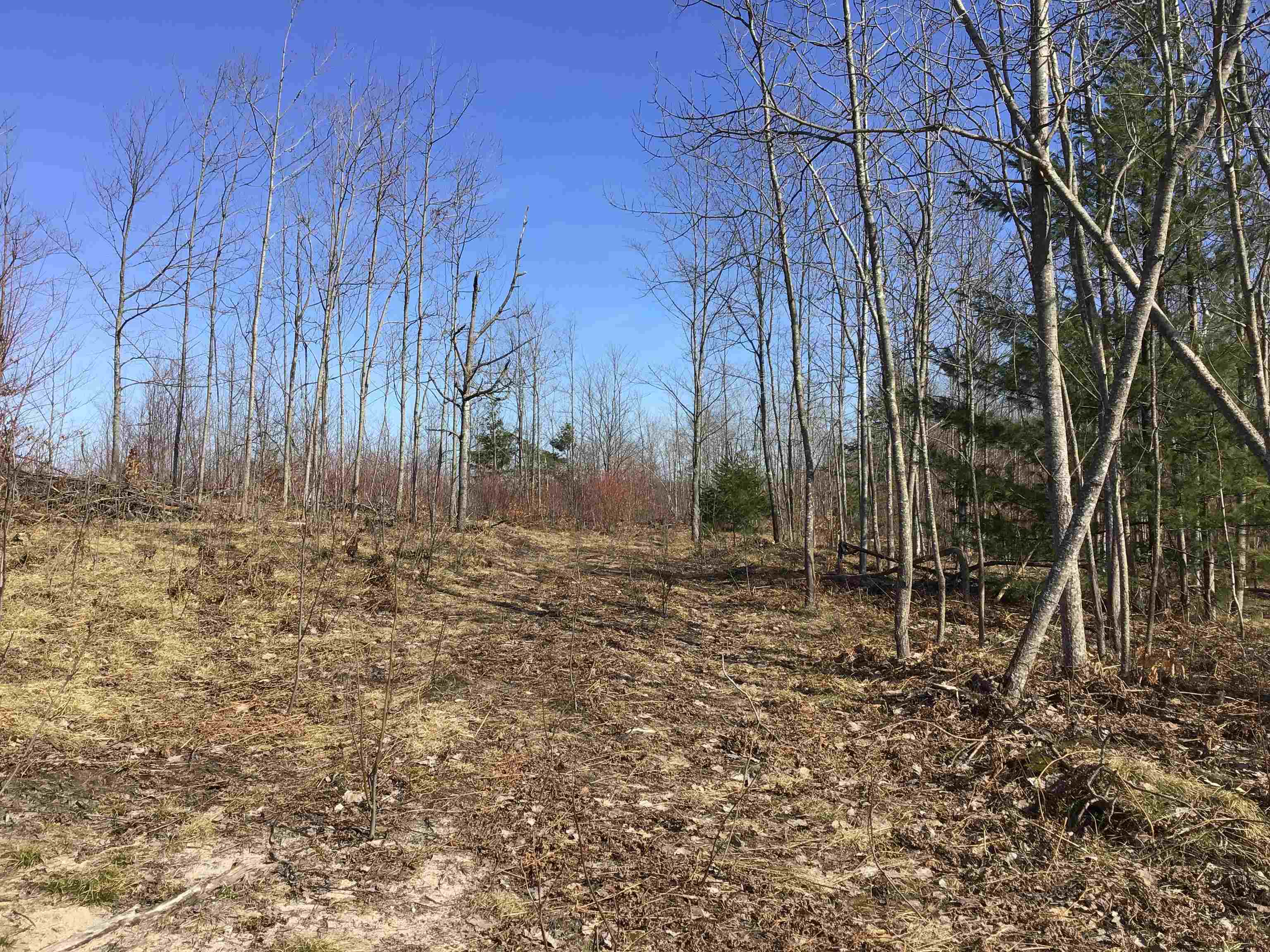 80 VL Mackinaw Trail, Cadillac, MI, 49601