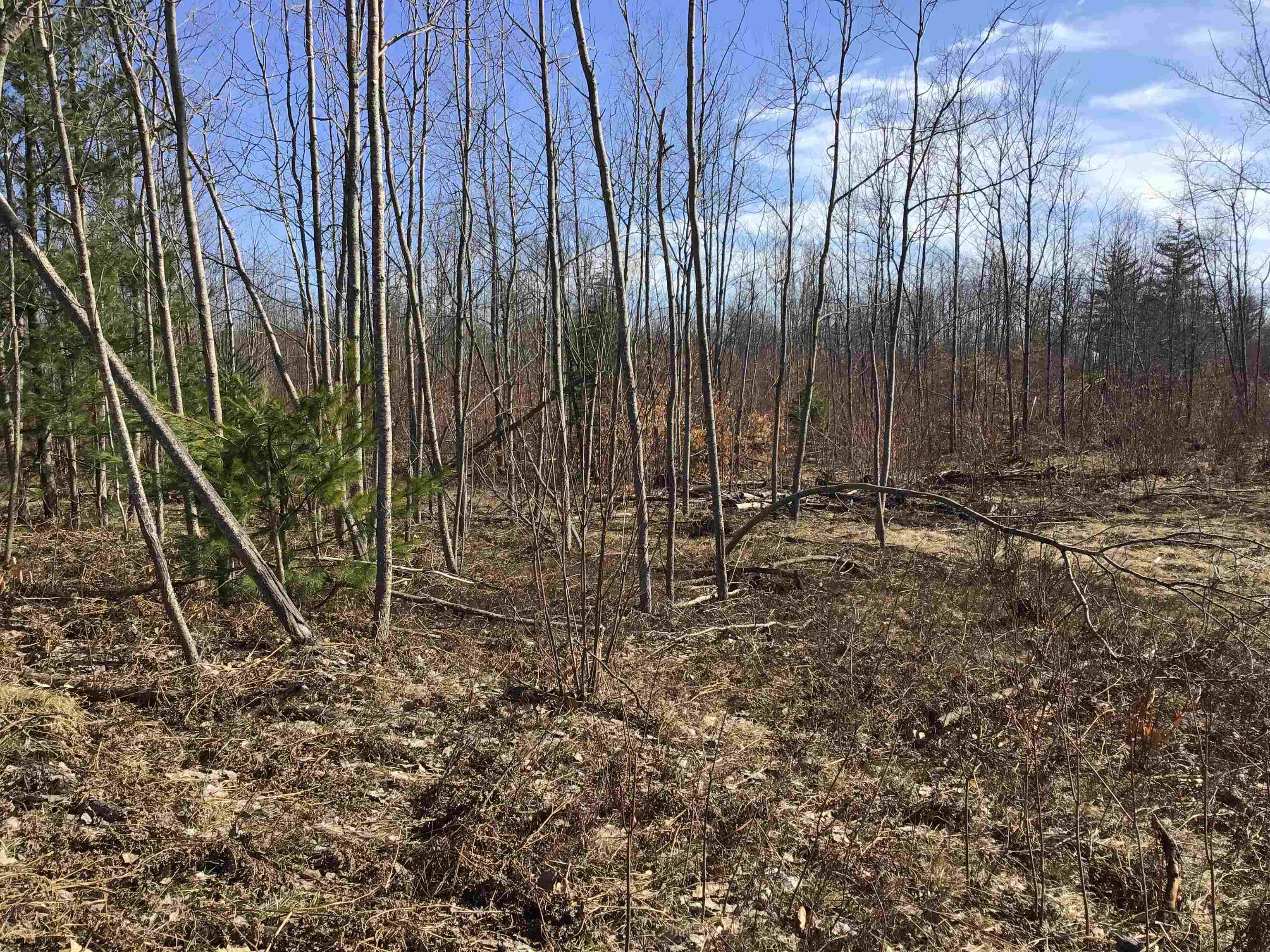 80 VL Mackinaw Trail, Cadillac, MI, 49601