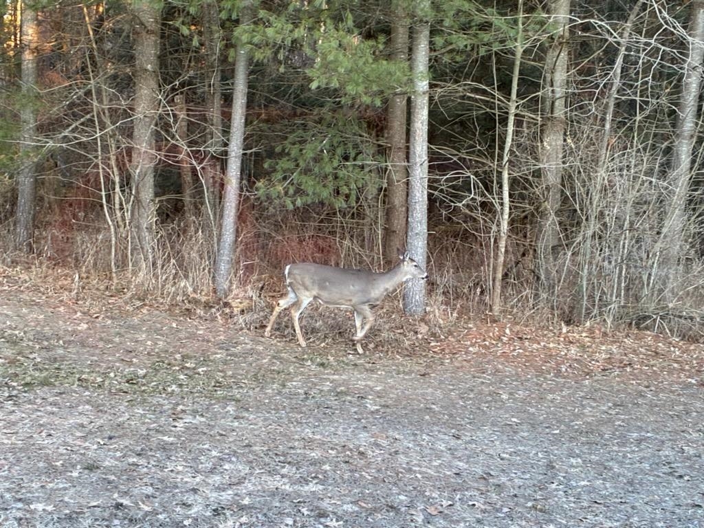 2210 Fox Run Road, West Branch, MI, 48661