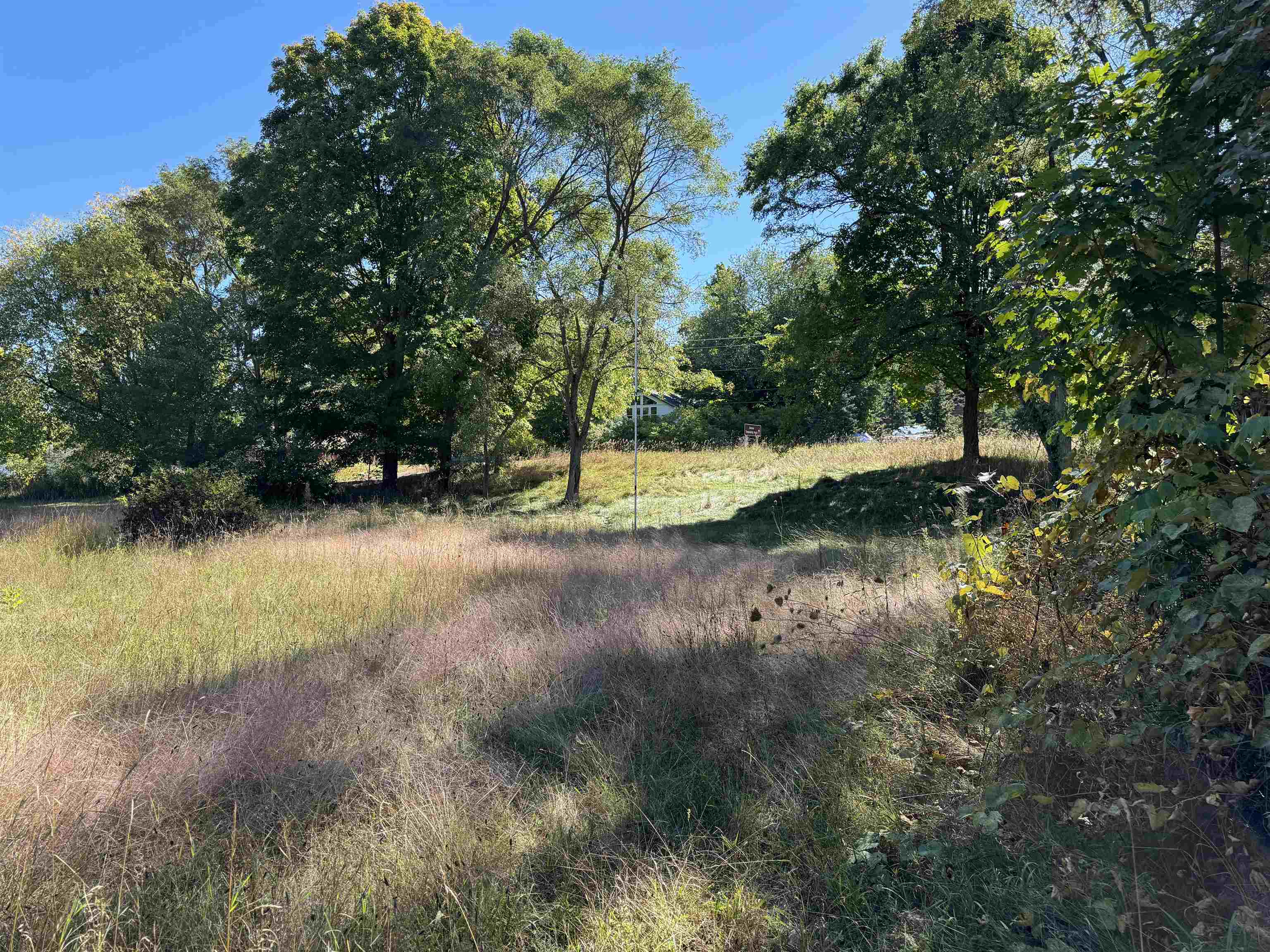 V/L W Main Street, Lake Leelanau, MI, 49653