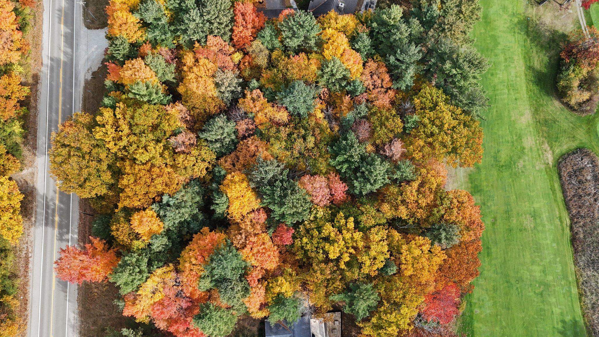 Lot 11 N Country Club Commons, Leland, MI, 49654