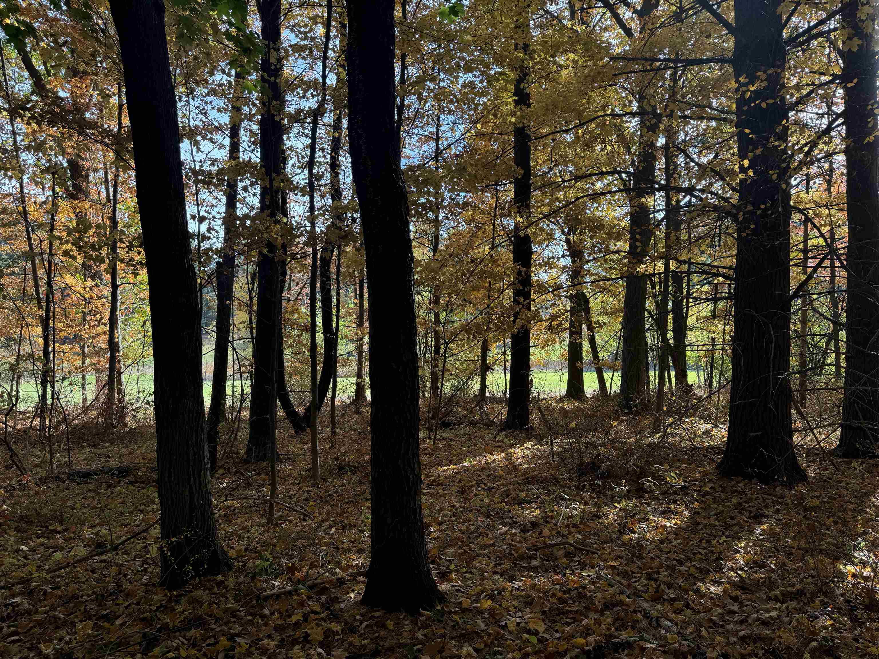 Lot 11 N Country Club Commons, Leland, MI, 49654