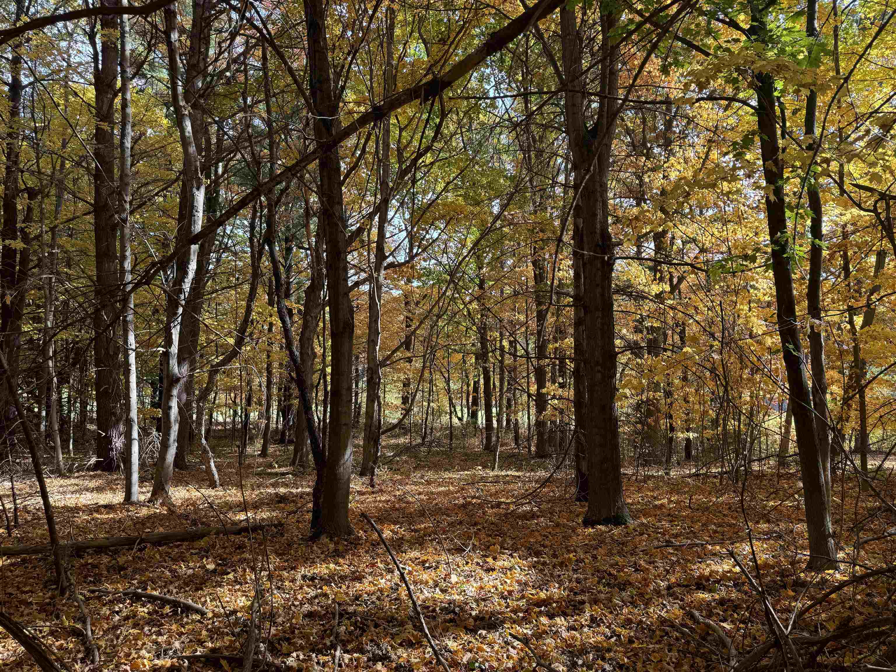 Lot 11 N Country Club Commons, Leland, MI, 49654