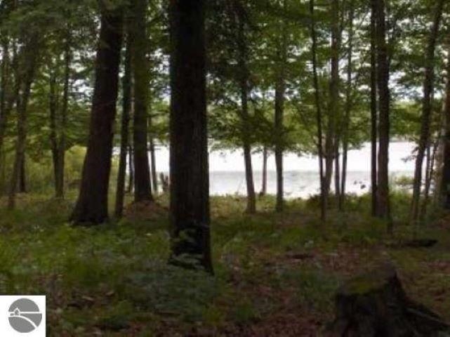 0 Cunningham Road, Kalkaska, MI, 49646