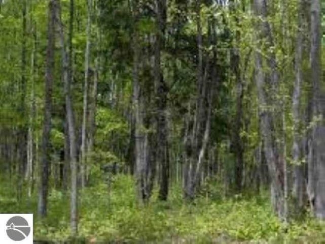 0 Cunningham Road, Kalkaska, MI, 49646