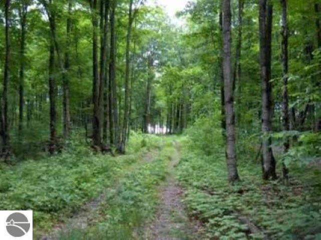 0 Cunningham Road, Kalkaska, MI, 49646
