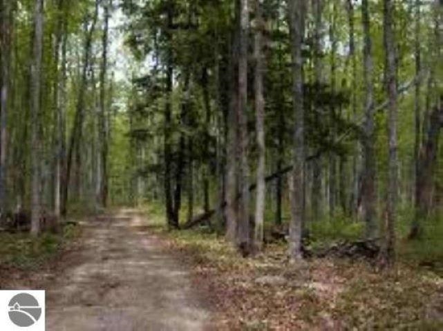 0 Cunningham Road, Kalkaska, MI, 49646