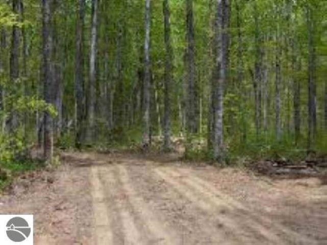 0 Cunningham Road, Kalkaska, MI, 49646