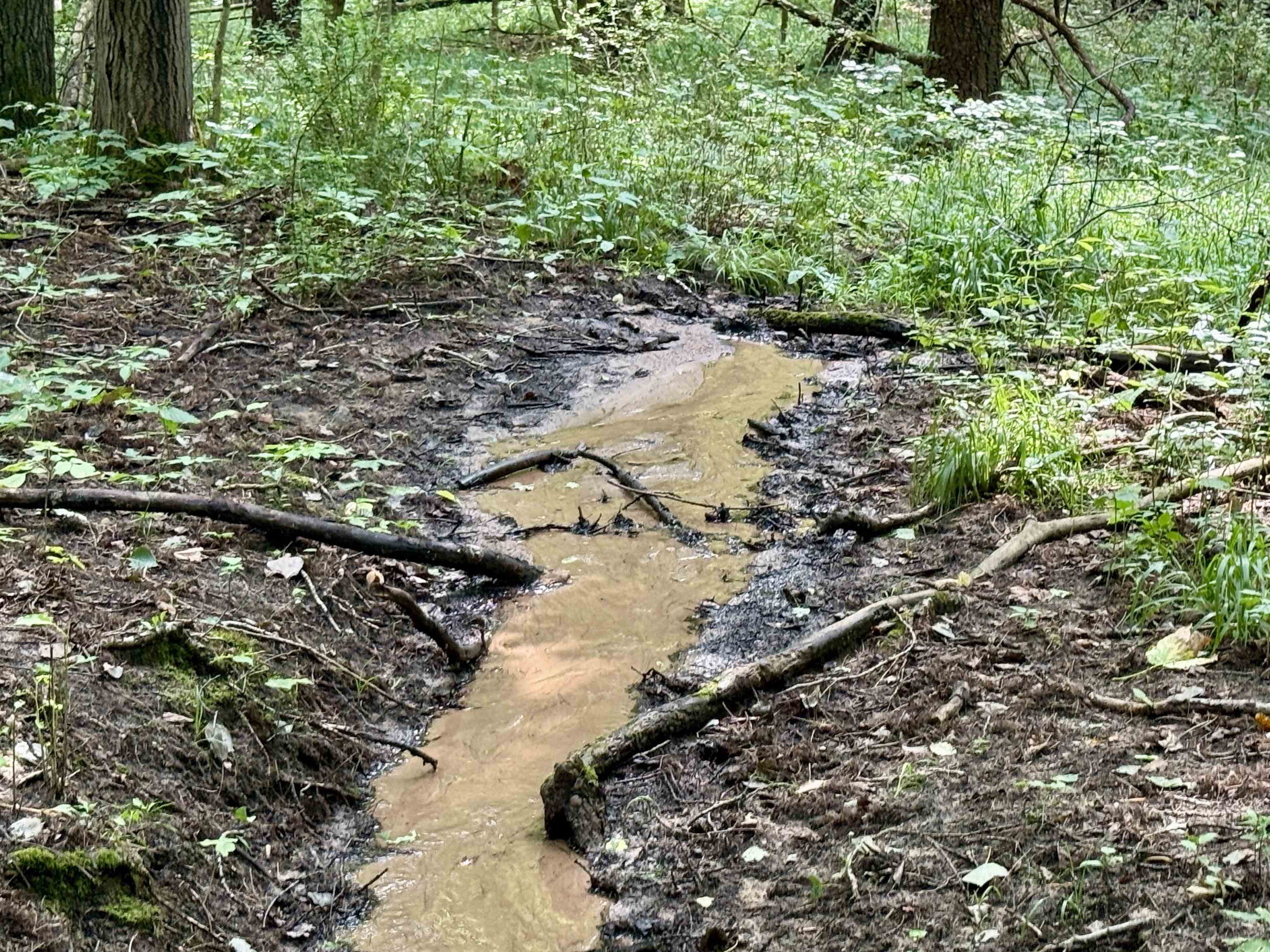 0000 W Empire Highway, Empire, MI, 49630