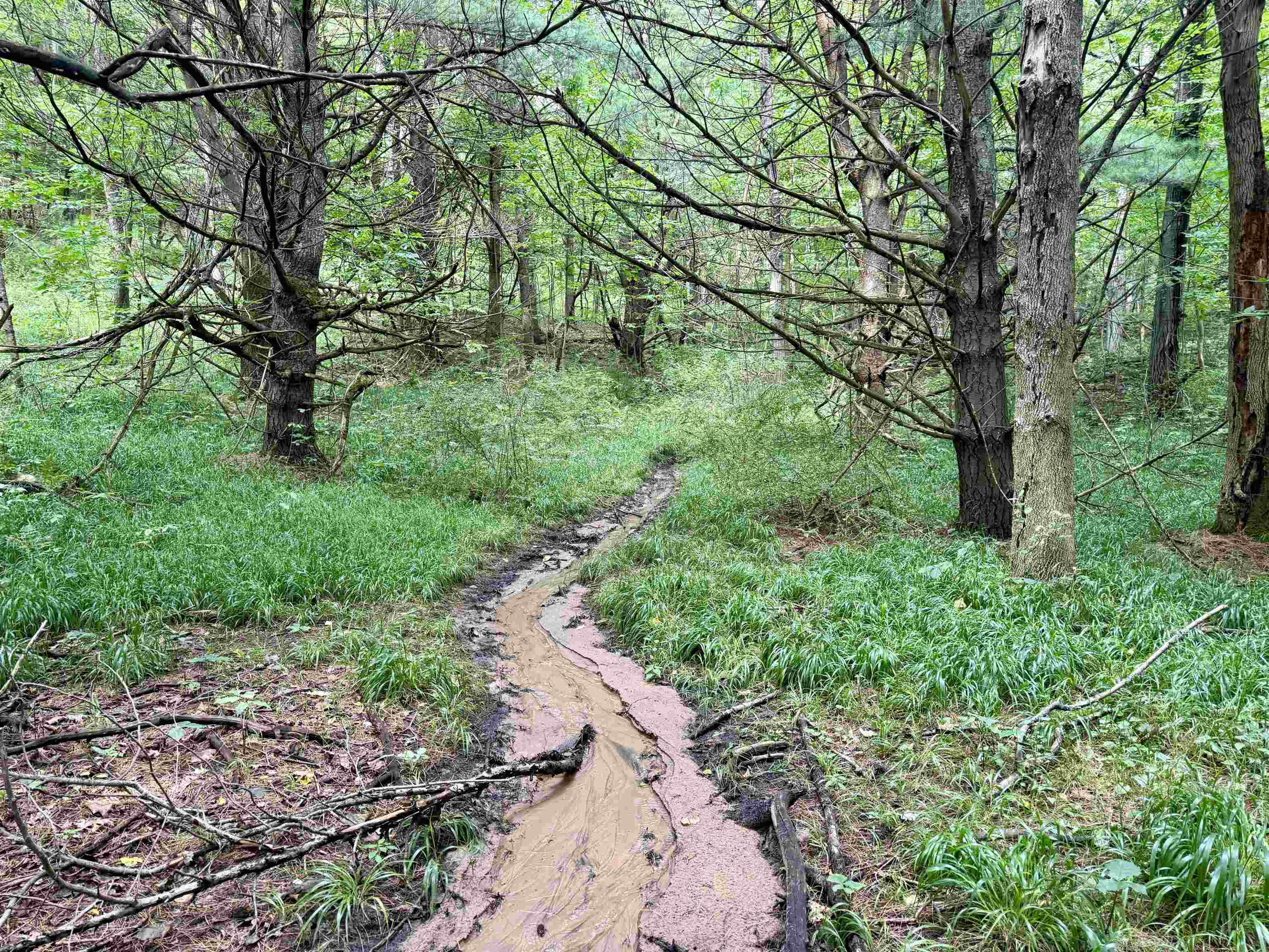 0000 W Empire Highway, Empire, MI, 49630