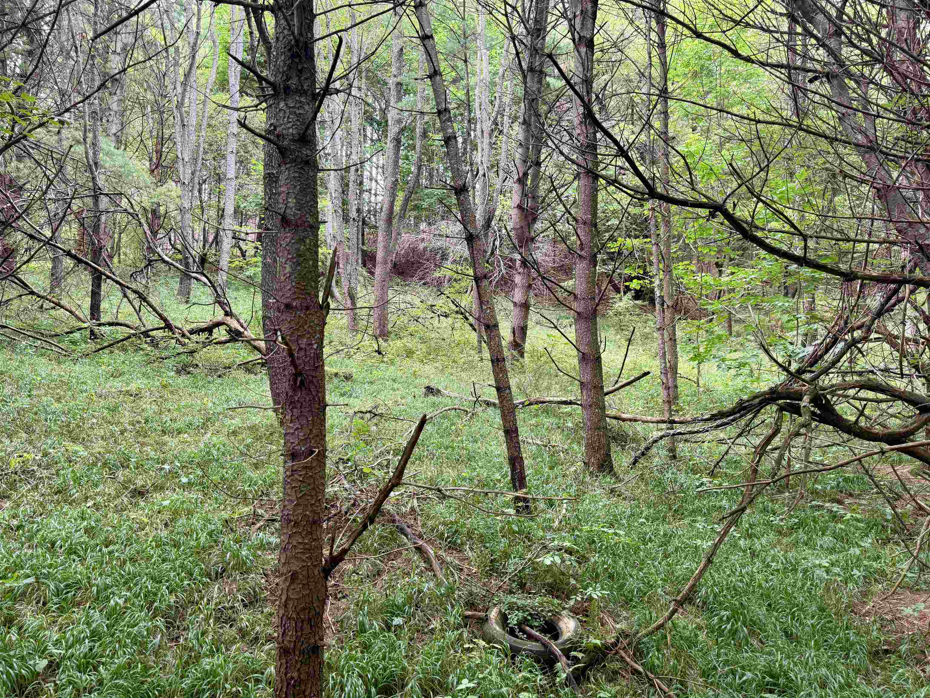 0000 W Empire Highway, Empire, MI, 49630