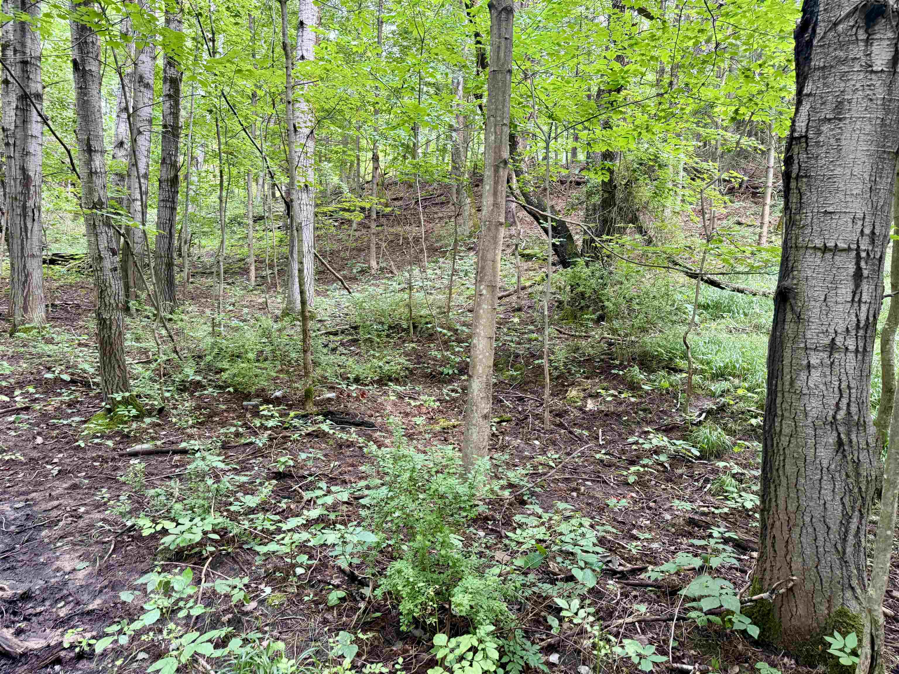 0000 W Empire Highway, Empire, MI, 49630