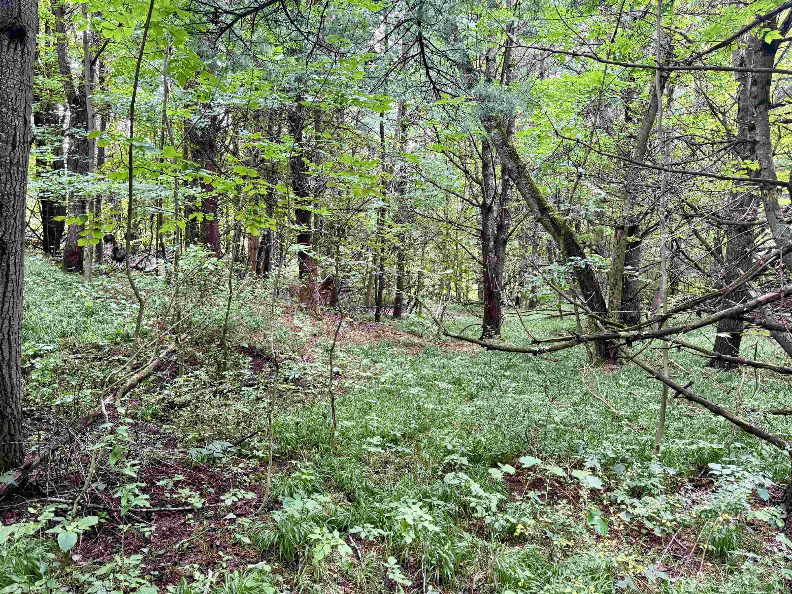 0000 W Empire Highway, Empire, MI, 49630