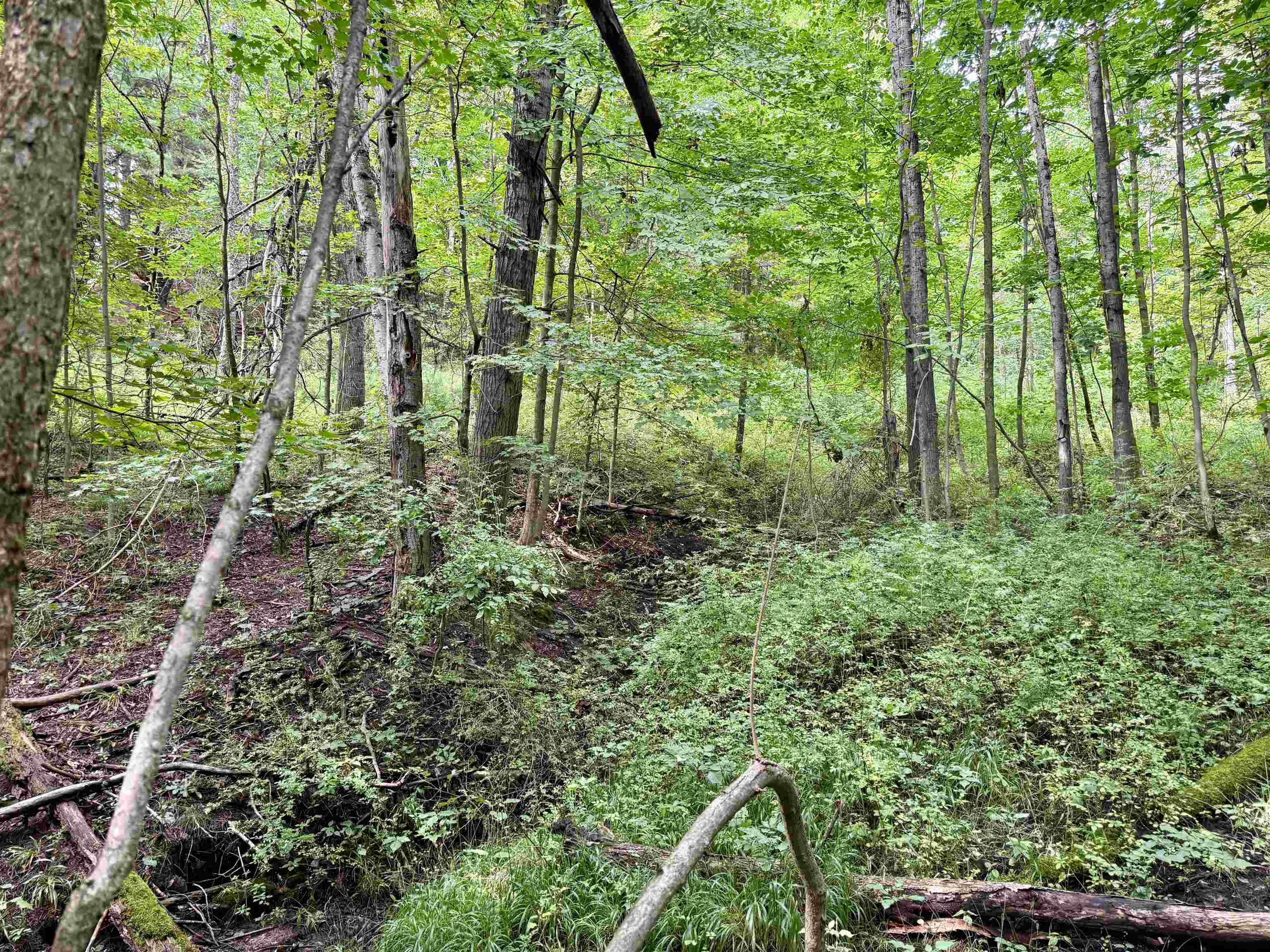 0000 W Empire Highway, Empire, MI, 49630