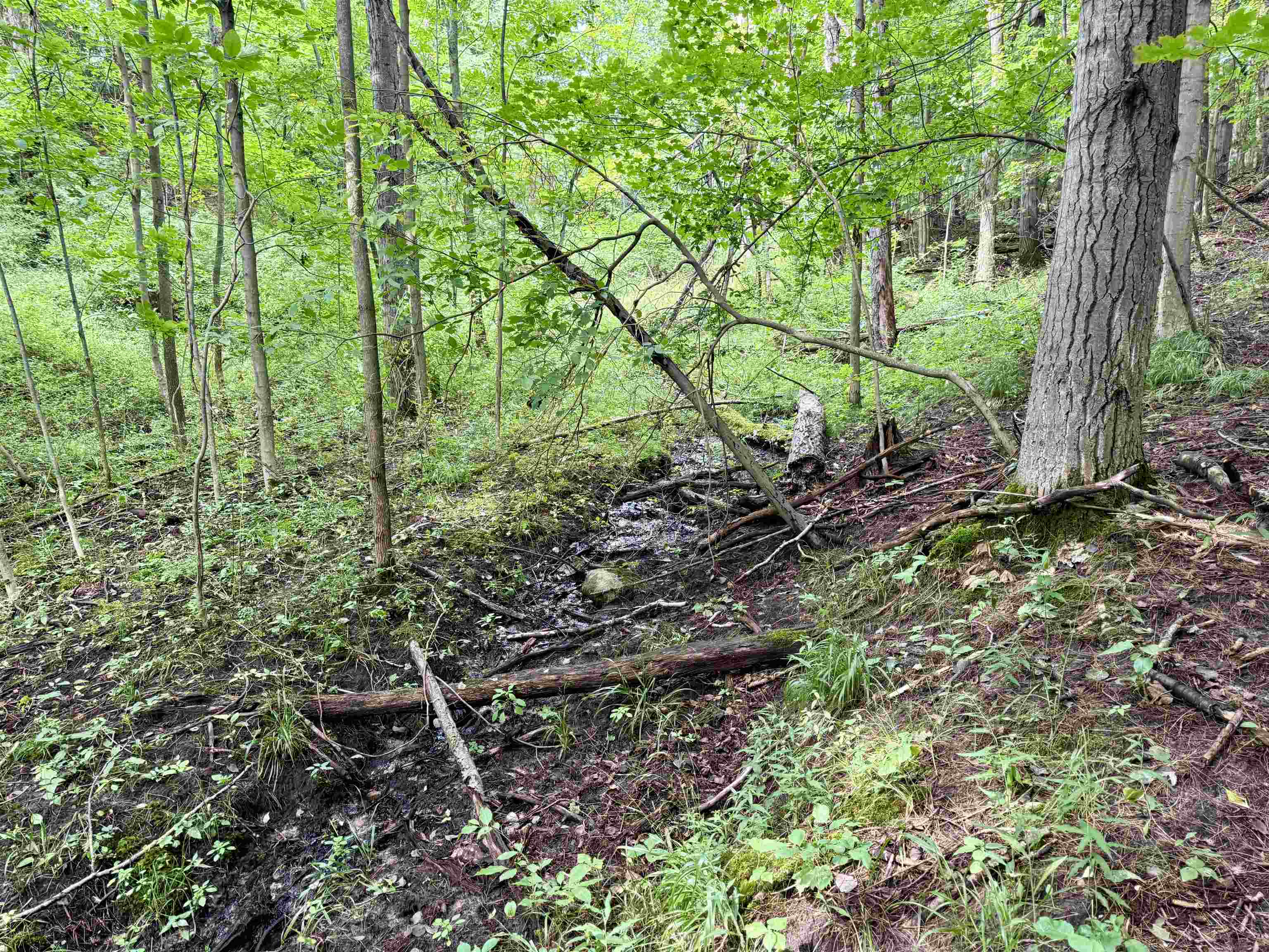 0000 W Empire Highway, Empire, MI, 49630